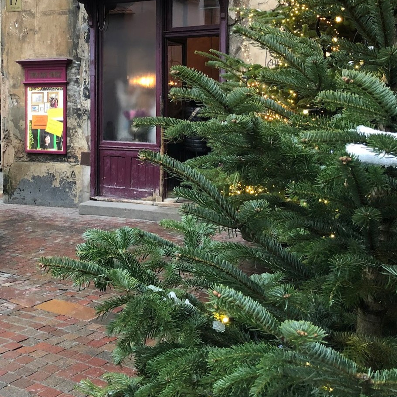 Christmas Photo Day. Photographer and Blogger Europe/Asia Nika Stoma