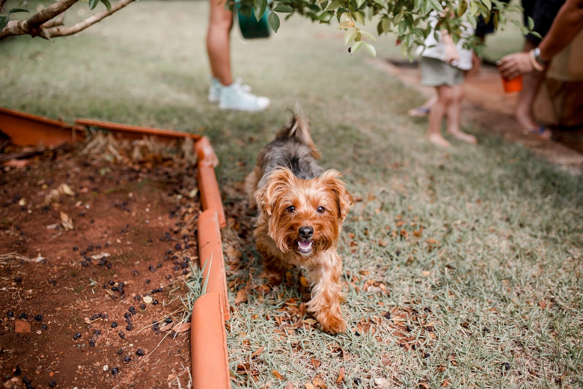 Luiza — 2º aninho. Fotógrafa de Eventos em São Paulo e Sorocaba Kika Damasceno