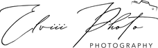 elviiiphoto.com