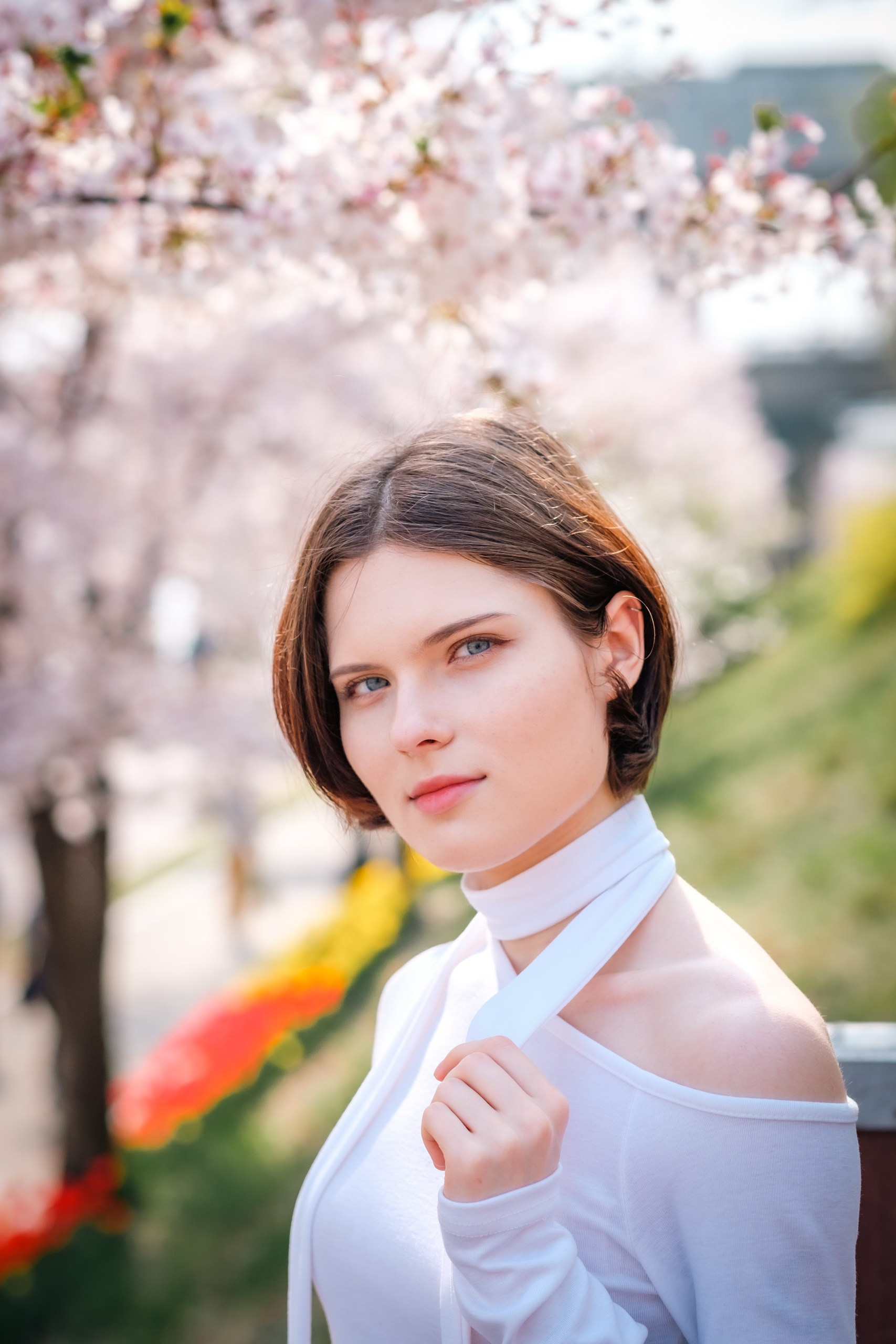 Blooming in Seoul. Photographer in Seoul Dobrokvashina Natalya