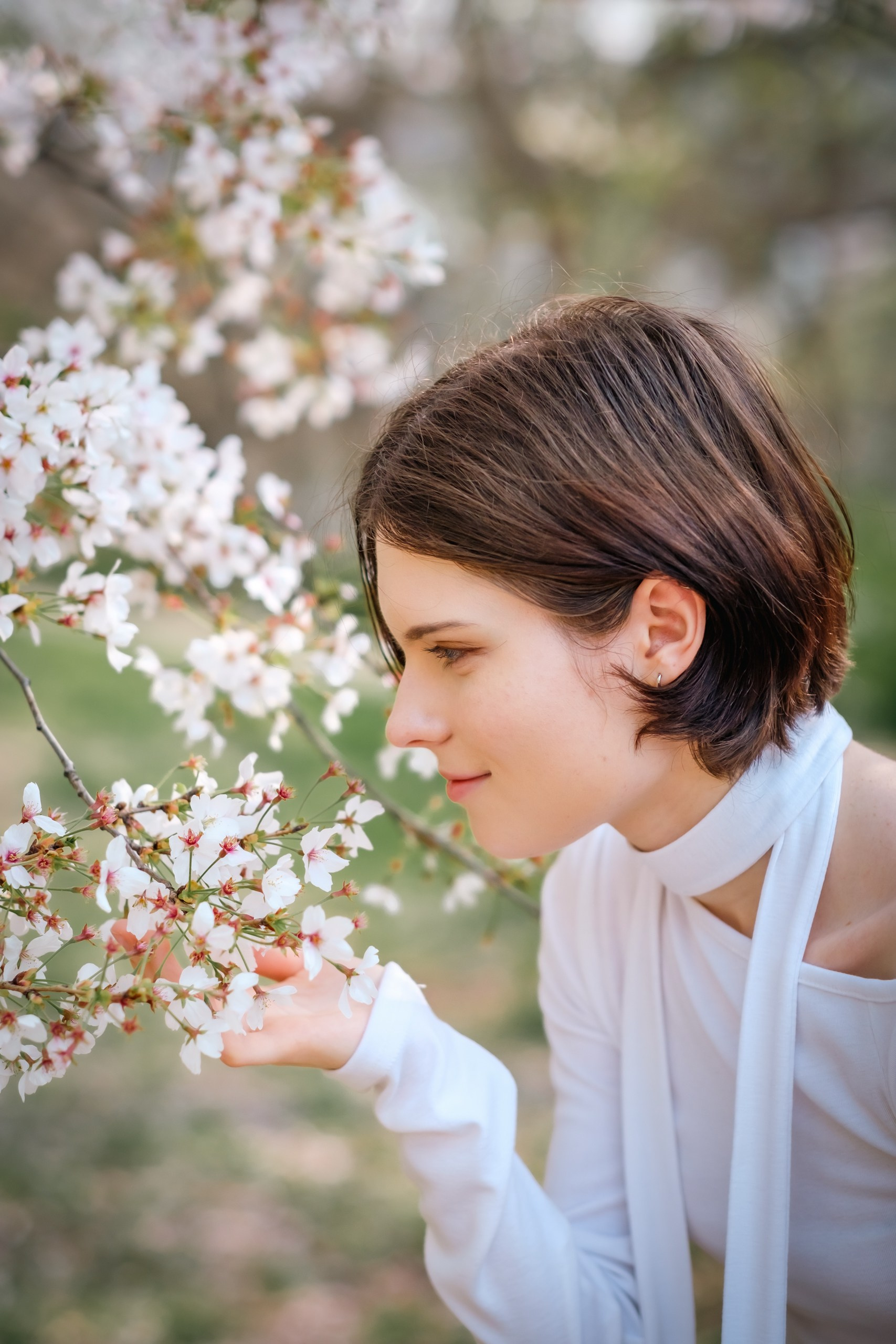 Blooming in Seoul. Photographer in Seoul Dobrokvashina Natalya