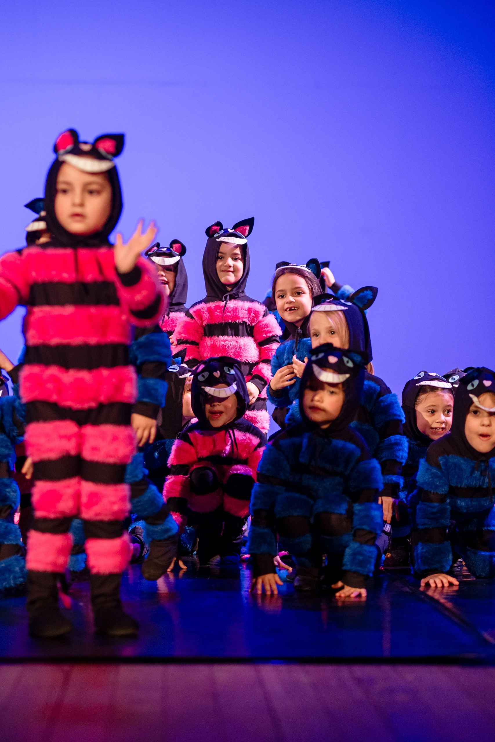 Fotografia de Espetáculo Teatral Alice no País das Maravilhas do grupo de dança Recriarte