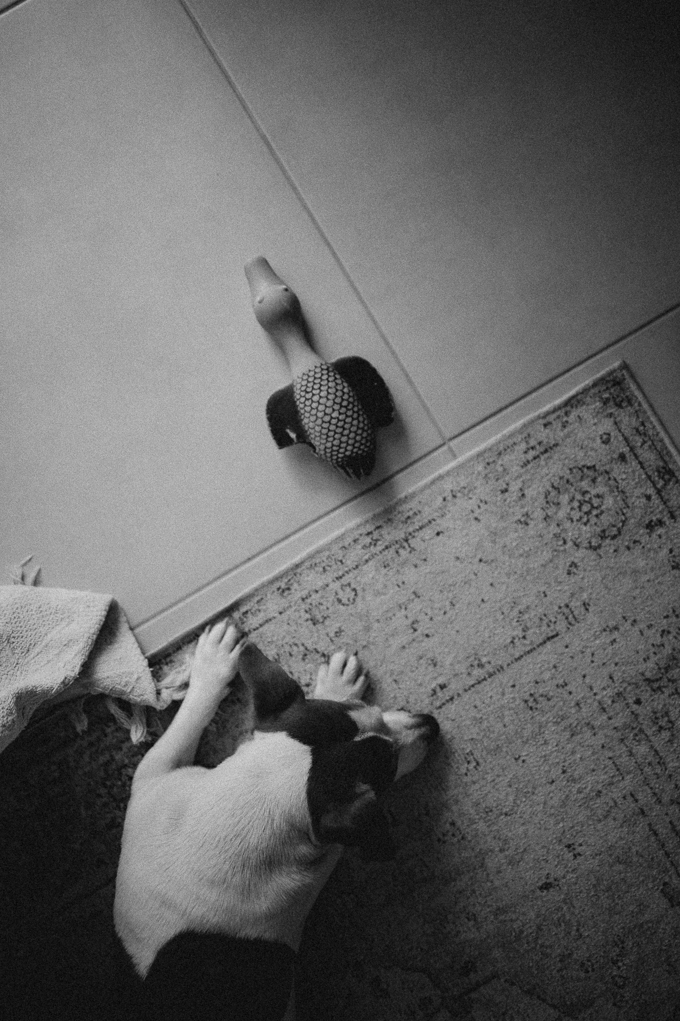 CosmicMomFotografia. Fotografa documental de familia e nascimento em Florianópolis SC Daria Ermolaev
