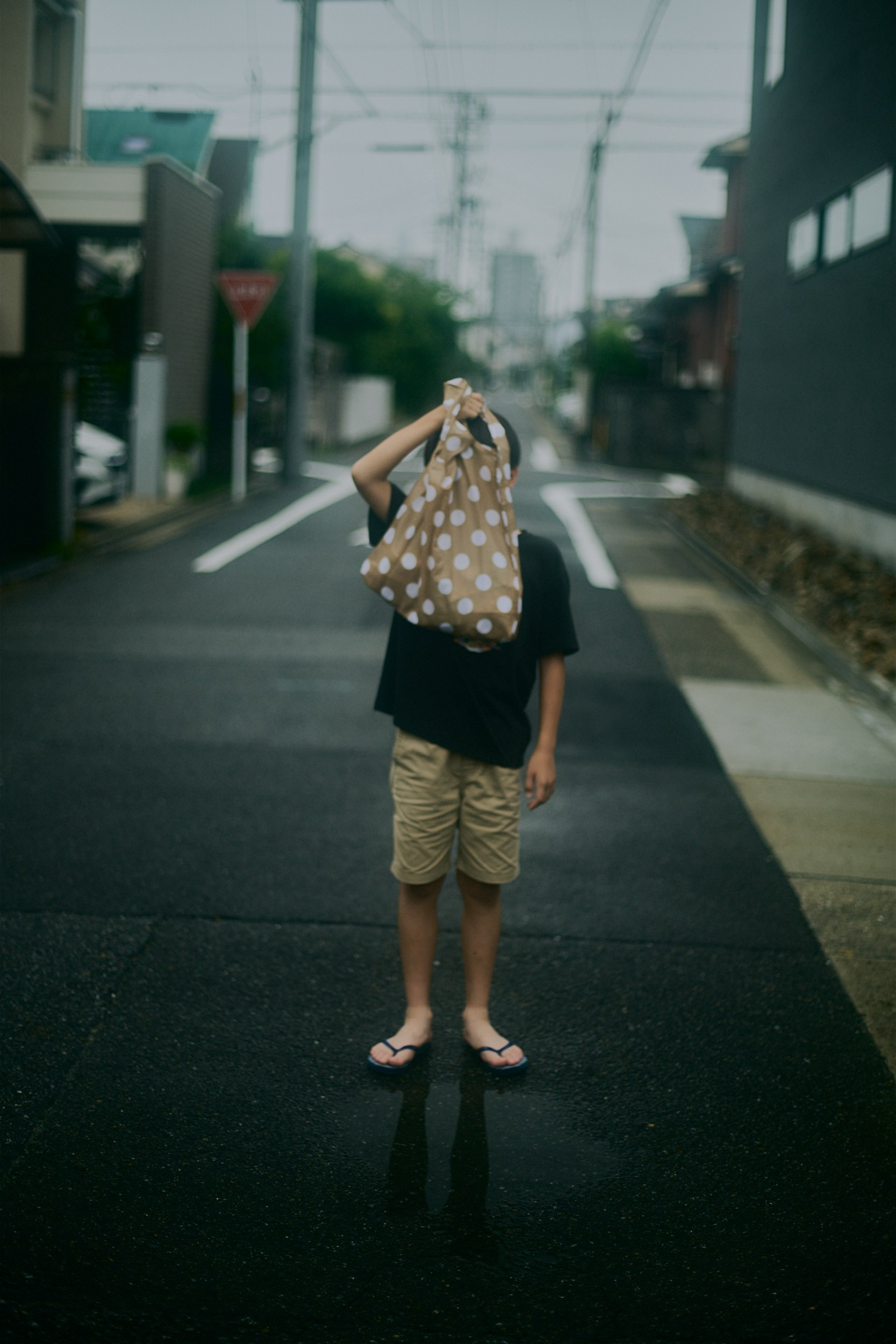 緑のキュロット (Work in progress). MT