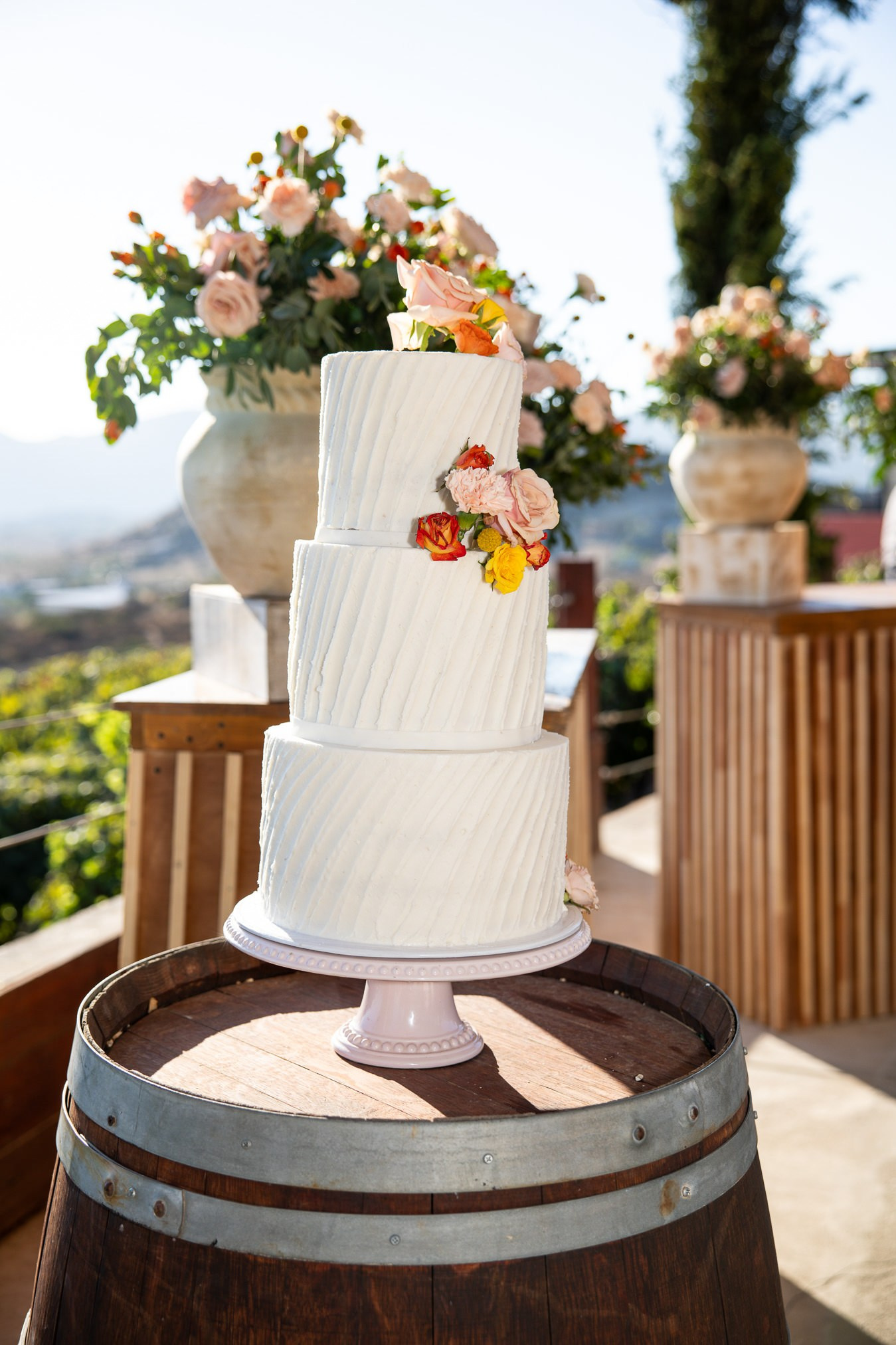 Valle de Guadalupe, Siempre Valle Boda Natalia y Carlos. Estudio de fotografia en Tijuana