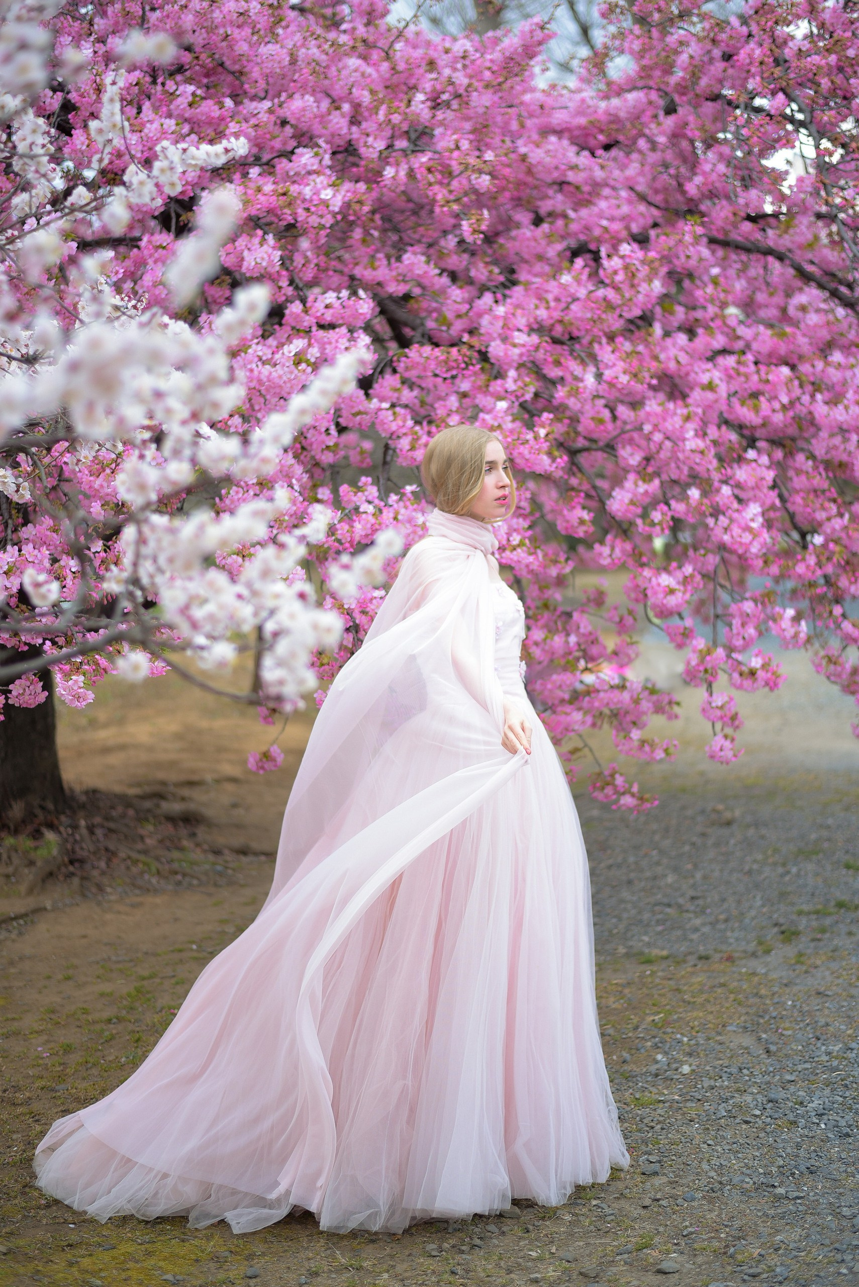 ART Project. Photographer in Tokyo, Japan