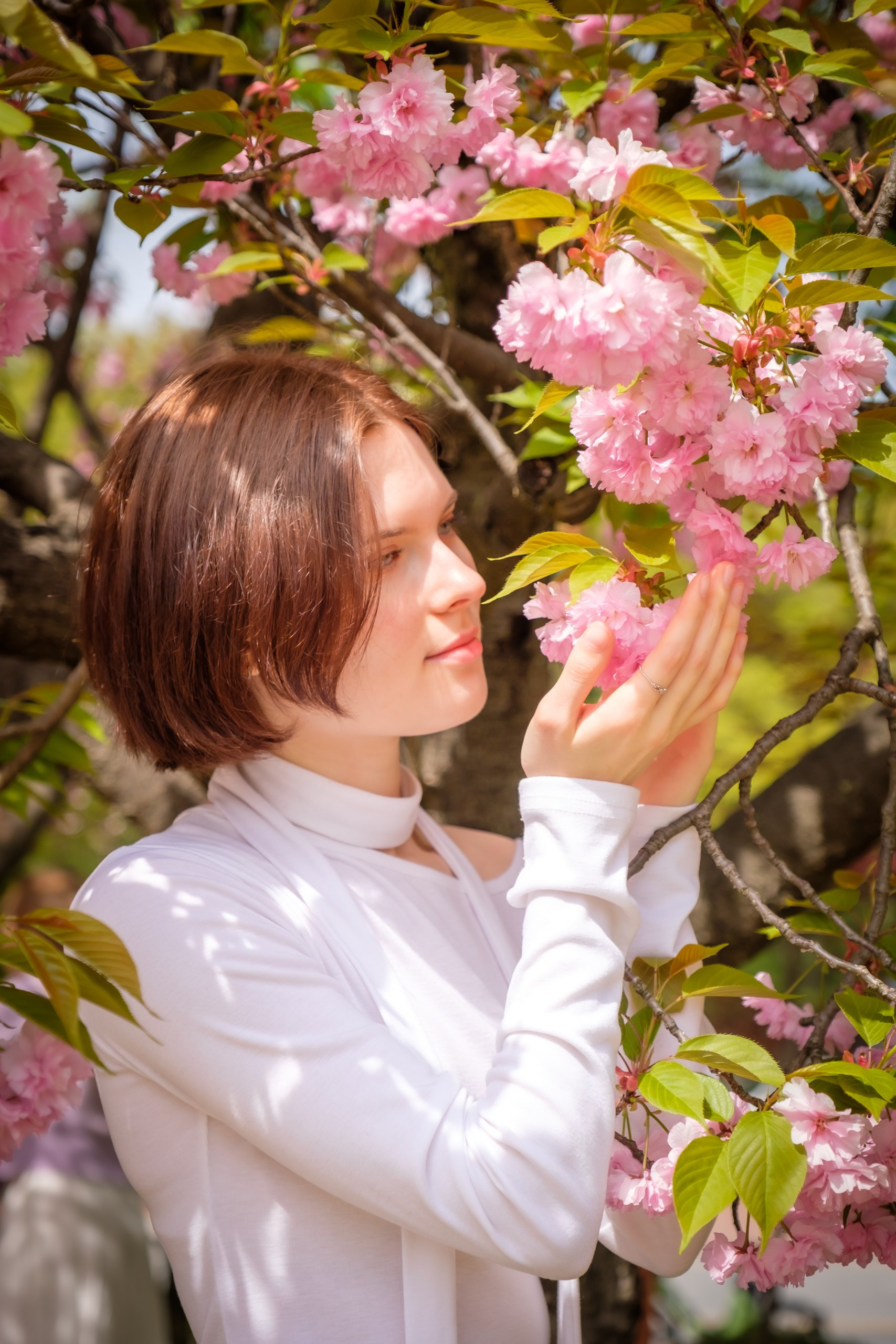 Blooming in Seoul. Photographer in Seoul Dobrokvashina Natalya
