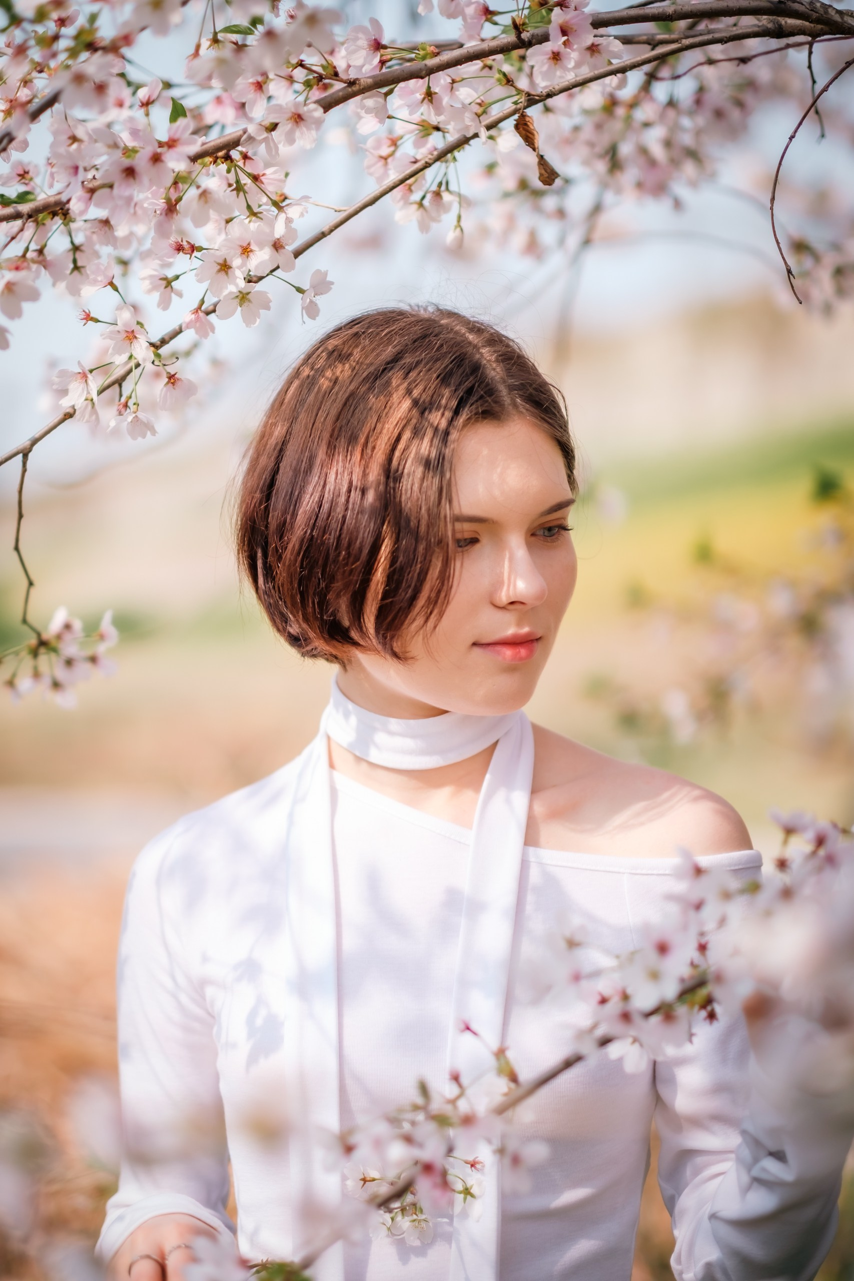 Blooming in Seoul. Photographer in Seoul Dobrokvashina Natalya