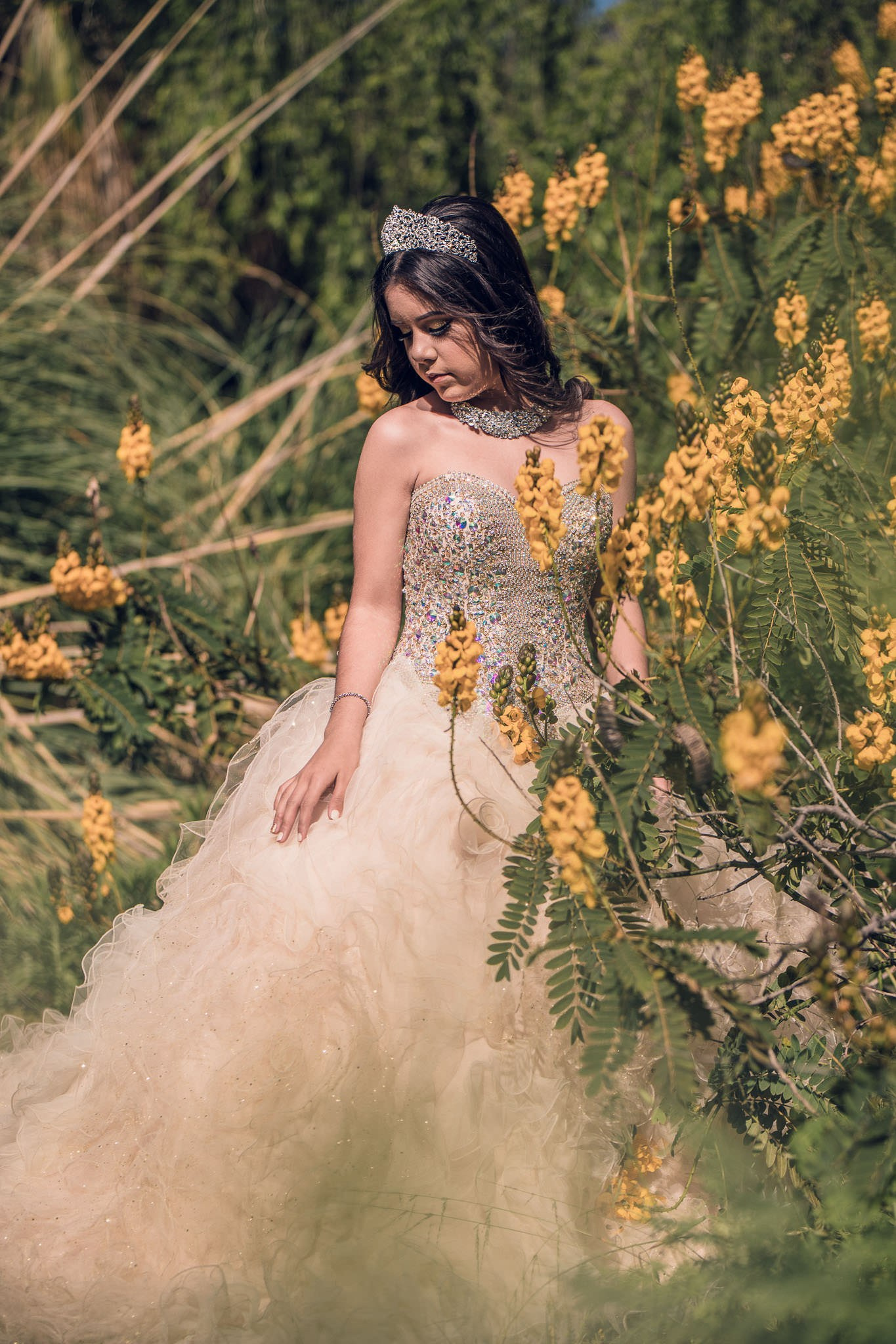 Voga, Rosarito Beach y Real del Mar XV Briana. Estudio de fotografia en Tijuana
