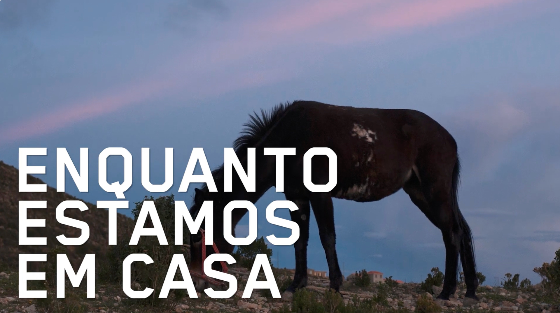 Talks & Lectures. Curator Maíra C. Gamarra