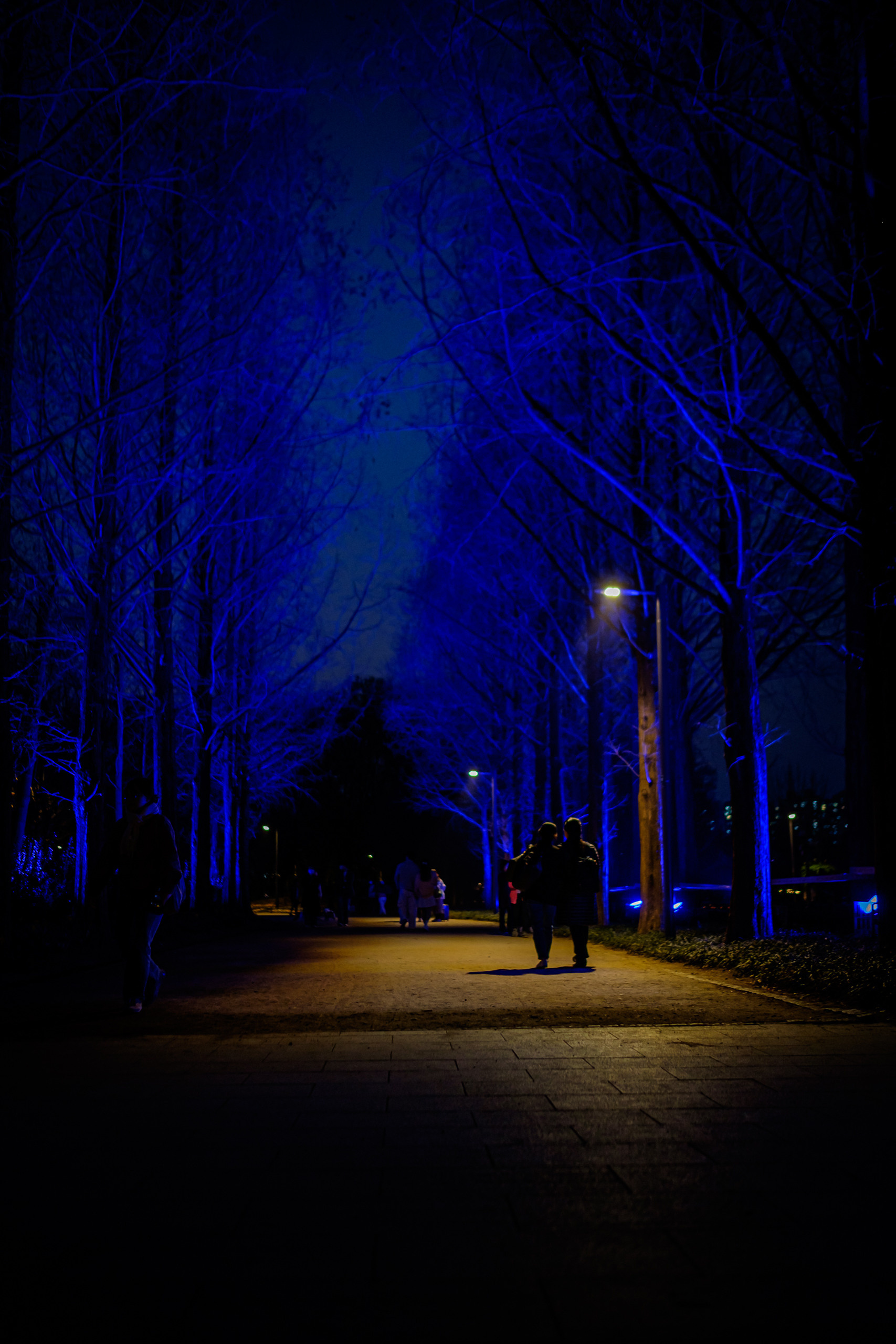 The charm of night streets and skyscrapers. Photographer in Seoul Dobrokvashina Natalya