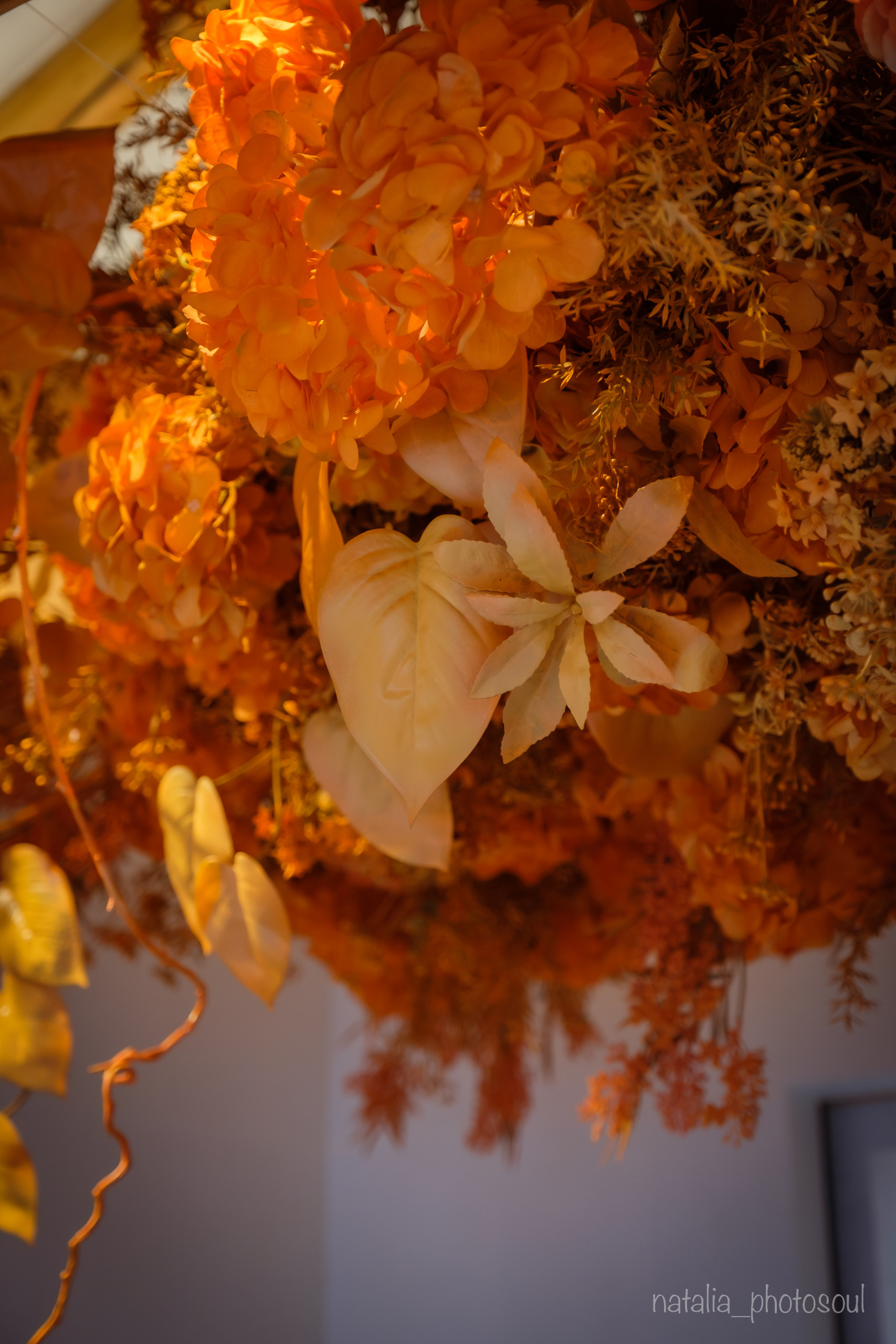 SULWHASOO: warm shades of autumn, graceful lines. Photographer in Seoul Dobrokvashina Natalya