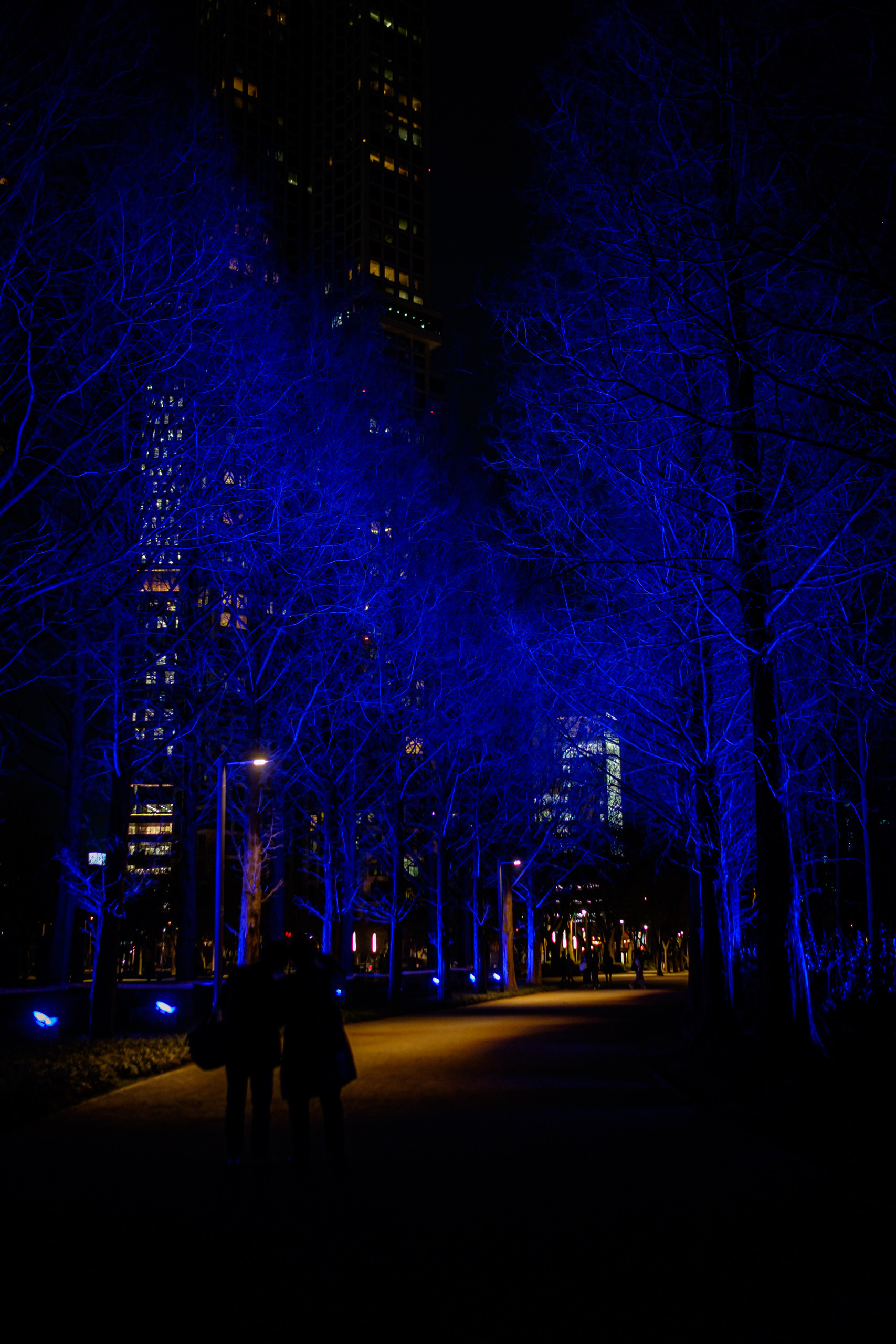 The charm of night streets and skyscrapers. Photographer in Seoul Dobrokvashina Natalya