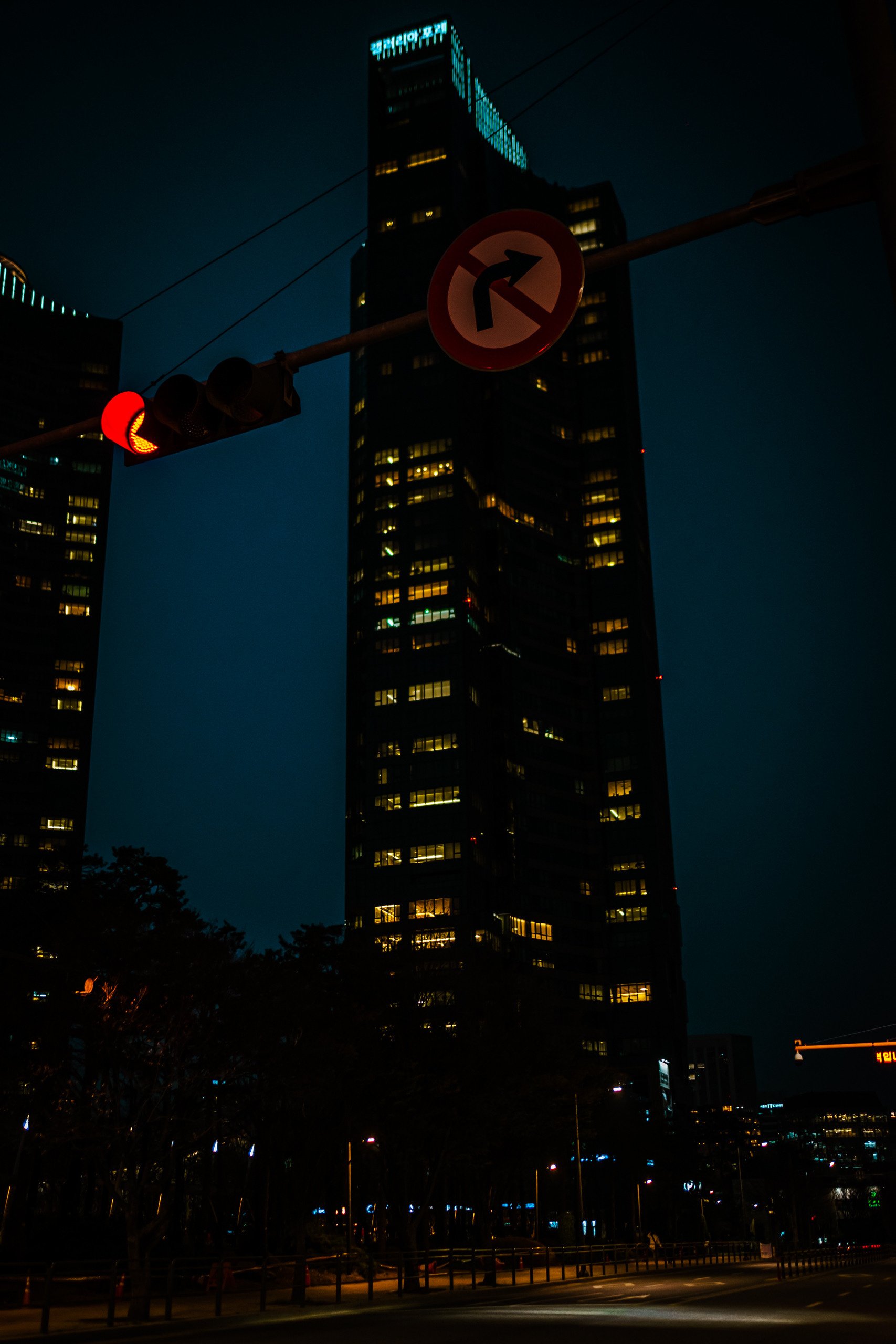 The charm of night streets and skyscrapers. Photographer in Seoul Dobrokvashina Natalya