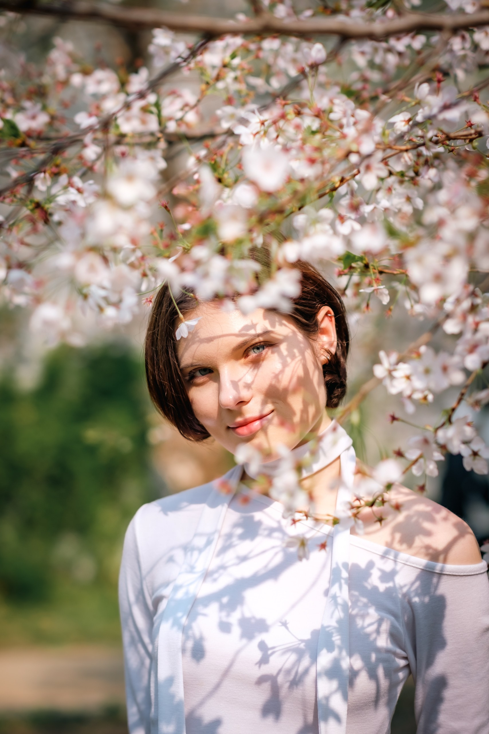 Blooming in Seoul. Photographer in Seoul Dobrokvashina Natalya