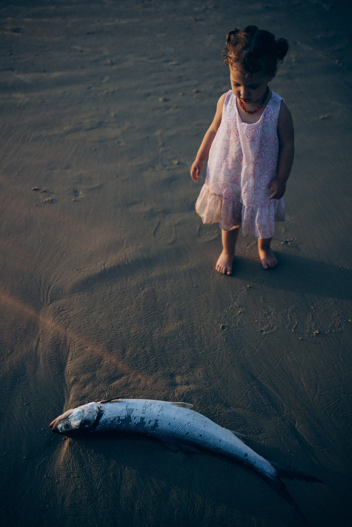 CosmicMomFotografia. Fotografa documental de familia e nascimento em Florianópolis SC Daria Ermolaev