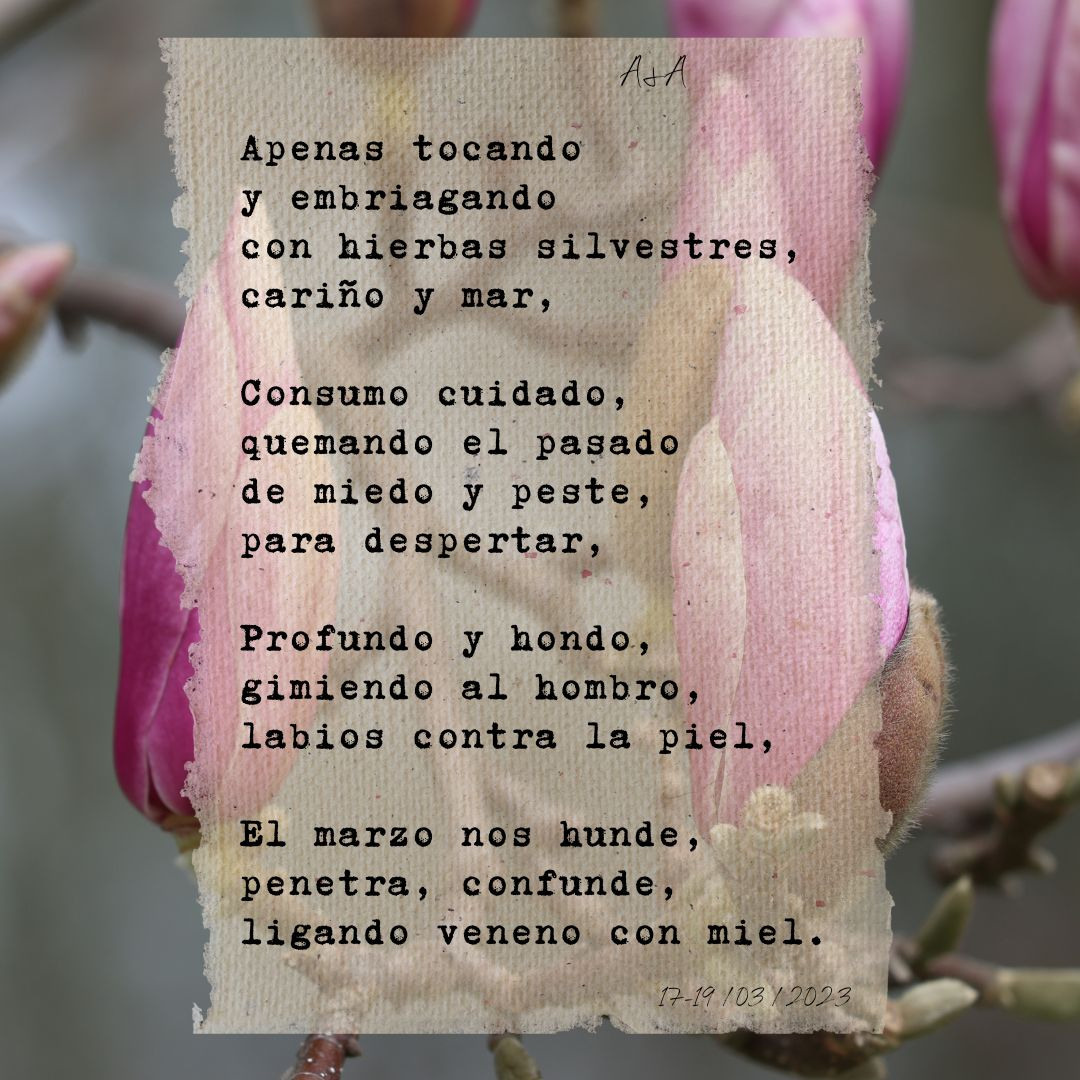 Veintitrés primaveras en un mes. Alicia: fotografía artística y escritura creativa en Asturias