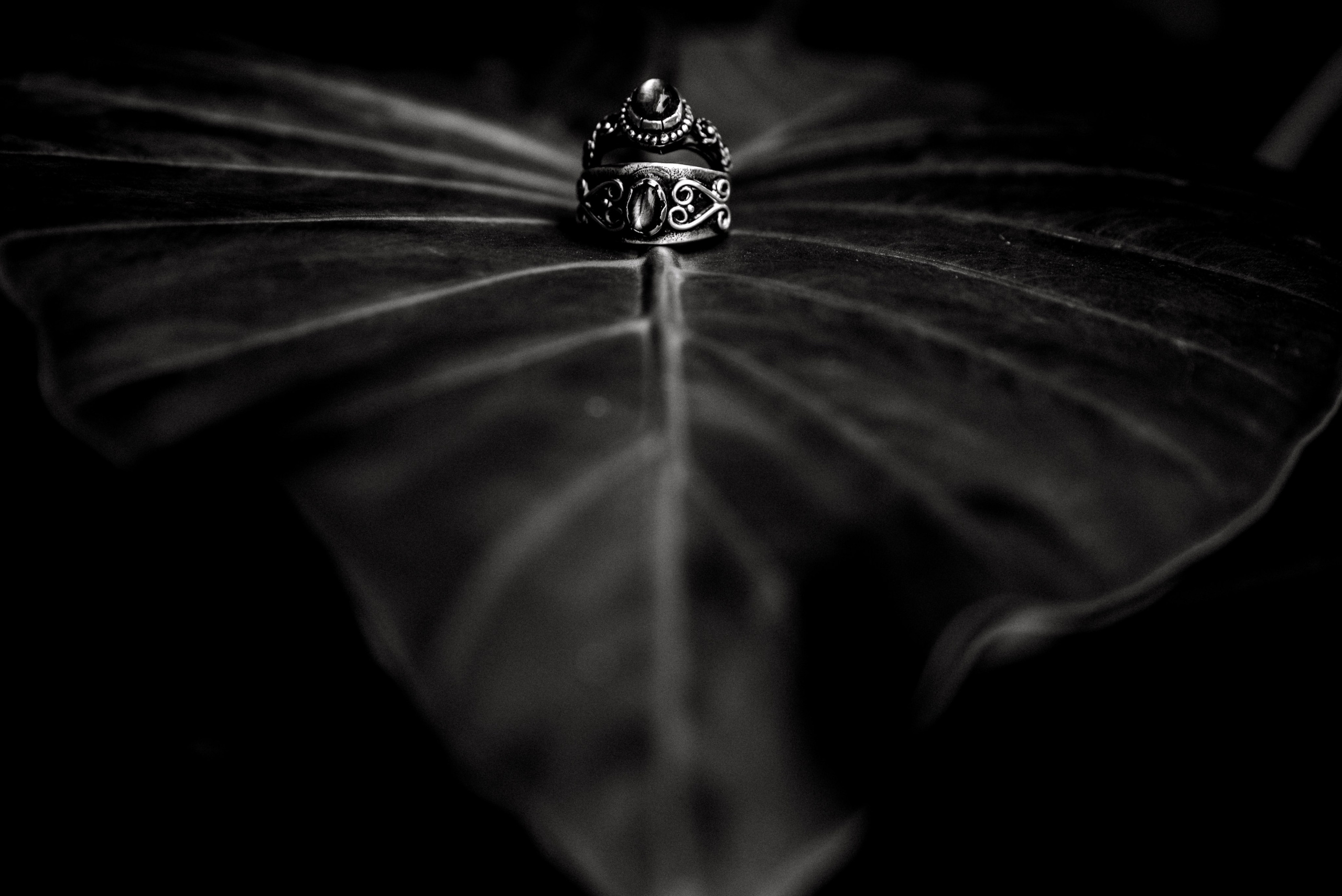 Fotografo de Bodas. Fotografo Profesional