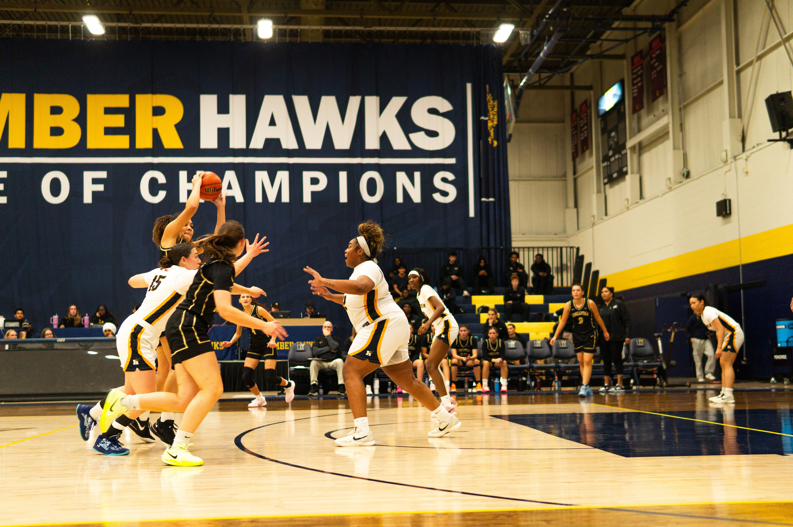 Basketball 2025-2026. Hawks Nation — Fan Photos