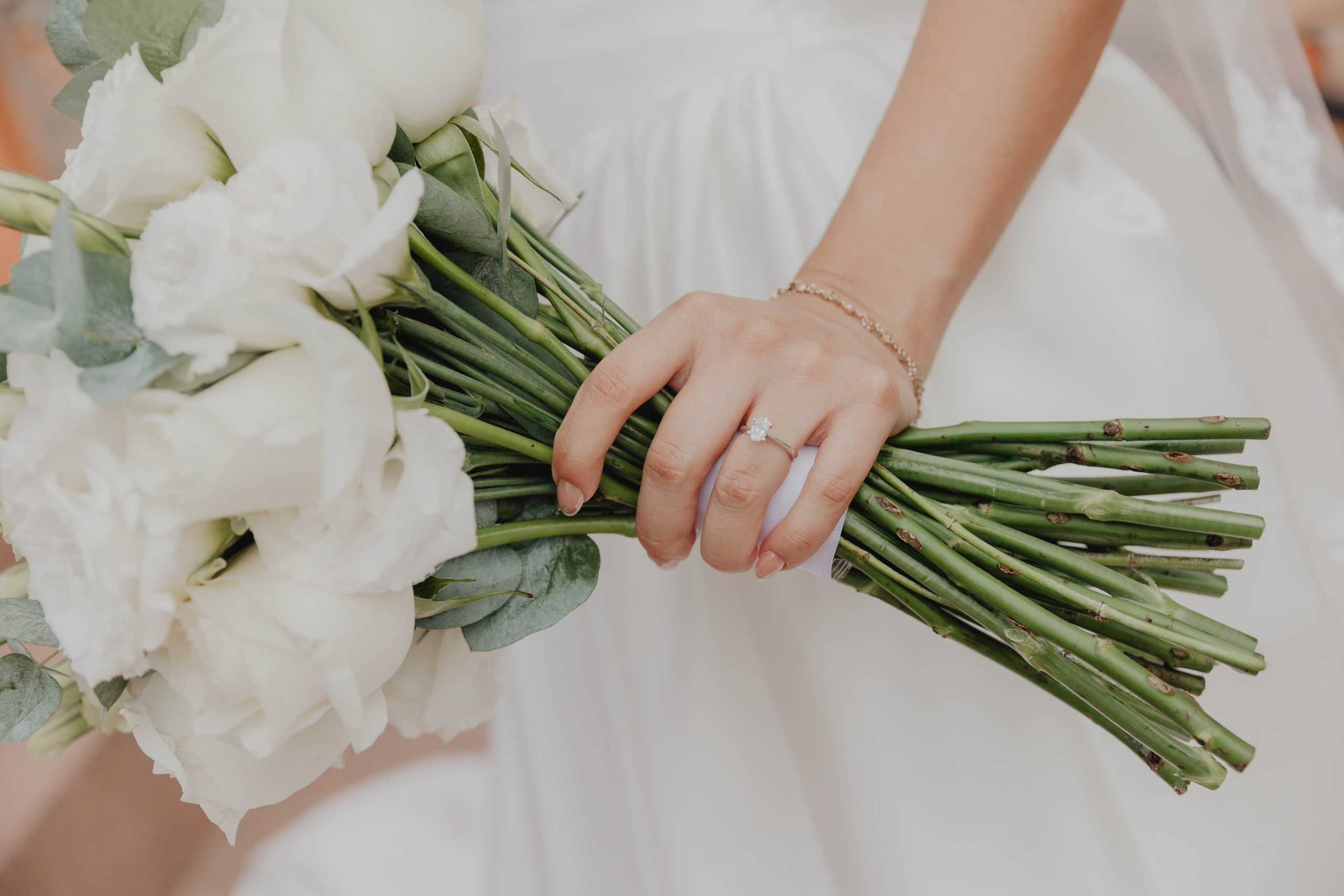 Capturing Love by the Ocean: A Destination Wedding at Sheraton Puerto Vallarta Resort & Spa