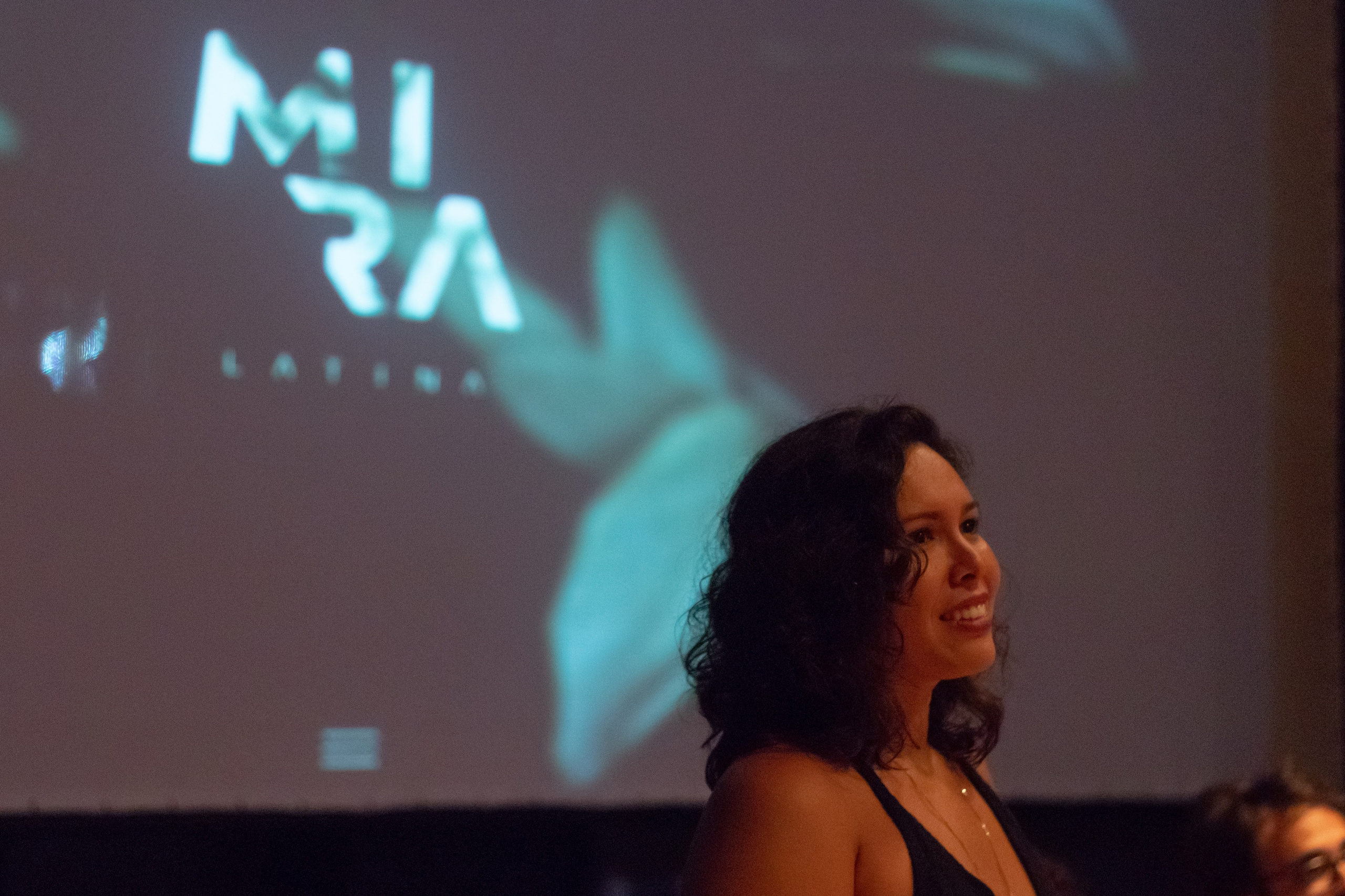 Biography. Curator Maíra C. Gamarra