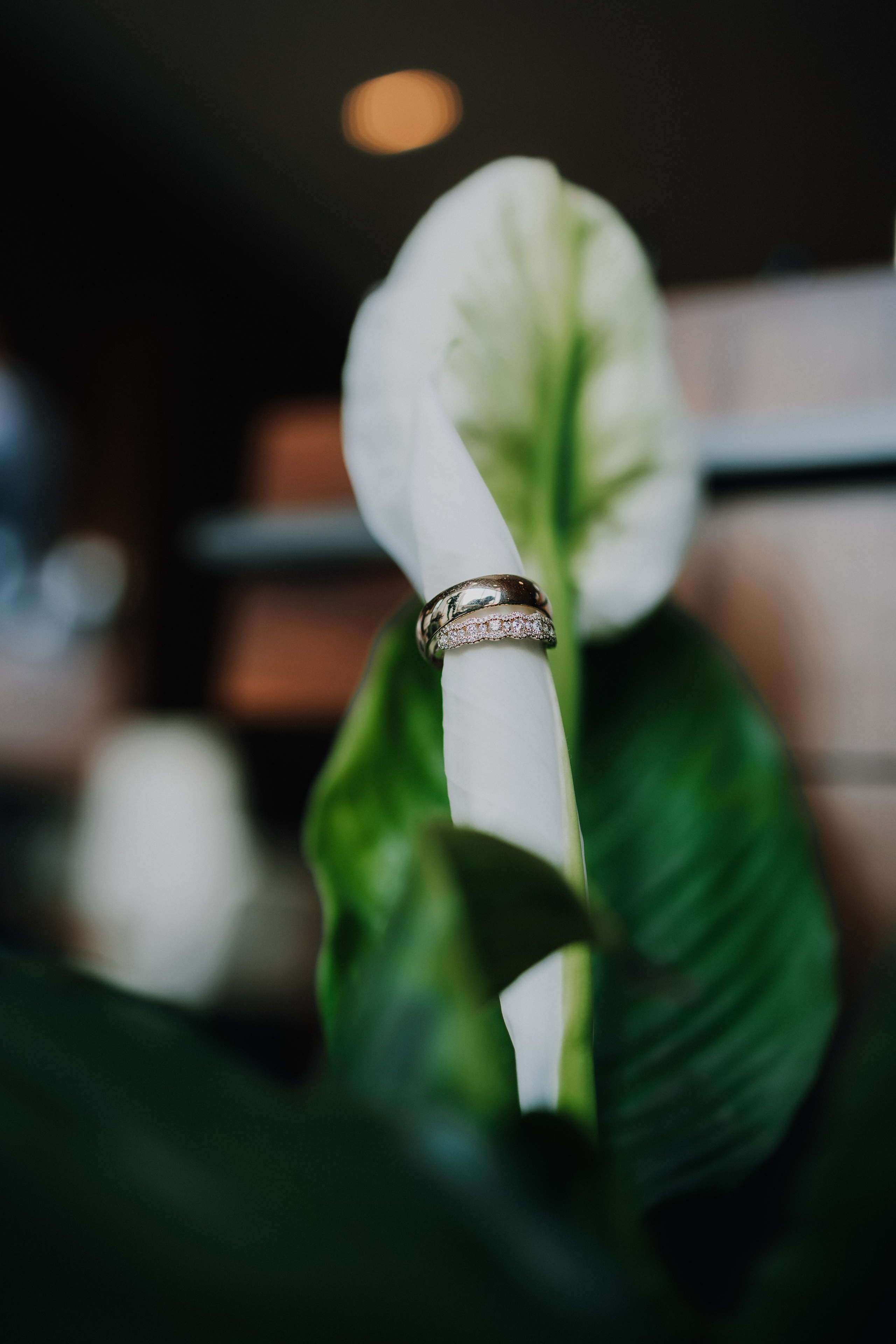 Real Wedding at Secrets Bahía Mita: W & K’s Golden Romance in Riviera Nayarit