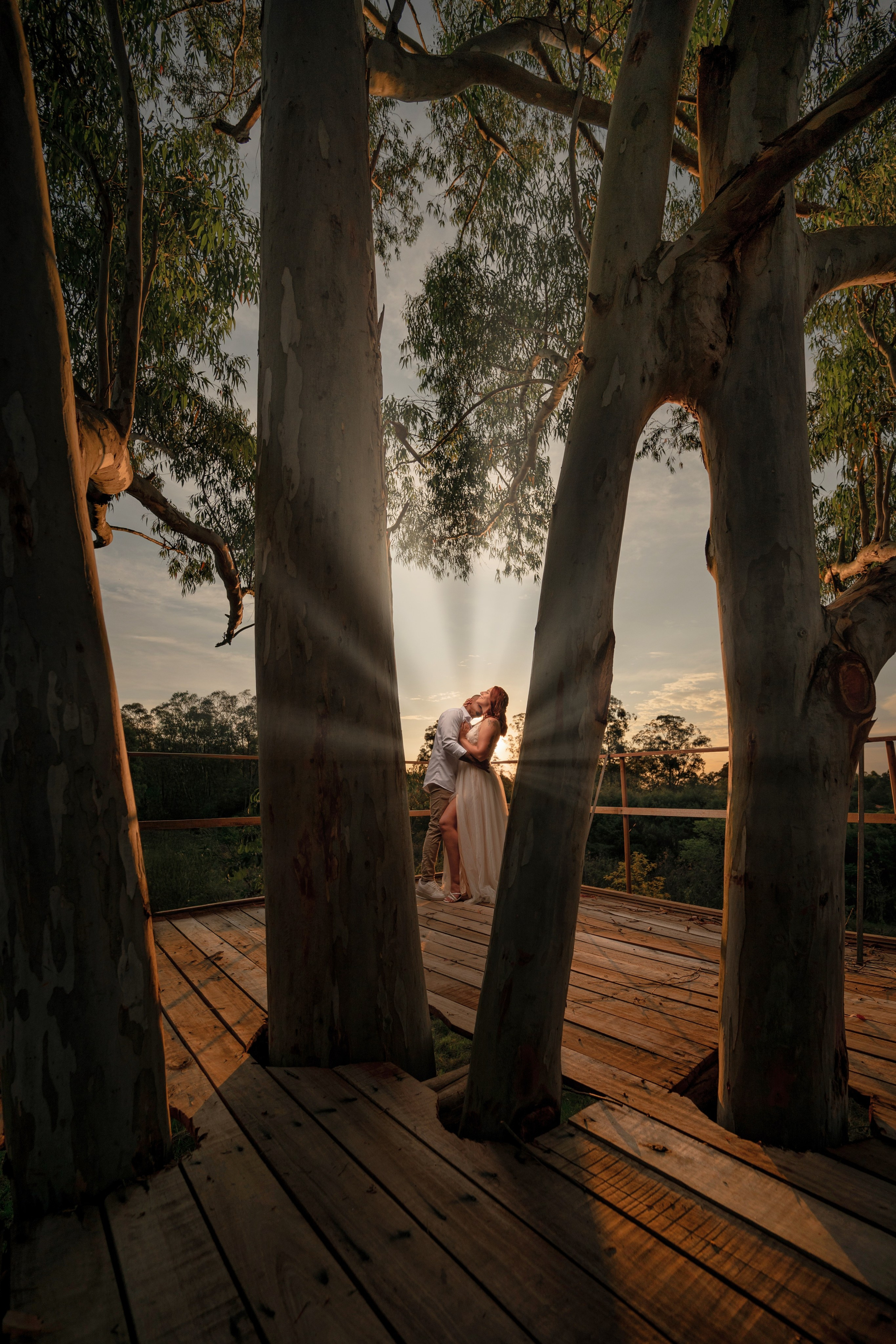 Fotógrafo de Casamento, grávida, Retrato, Corporativo