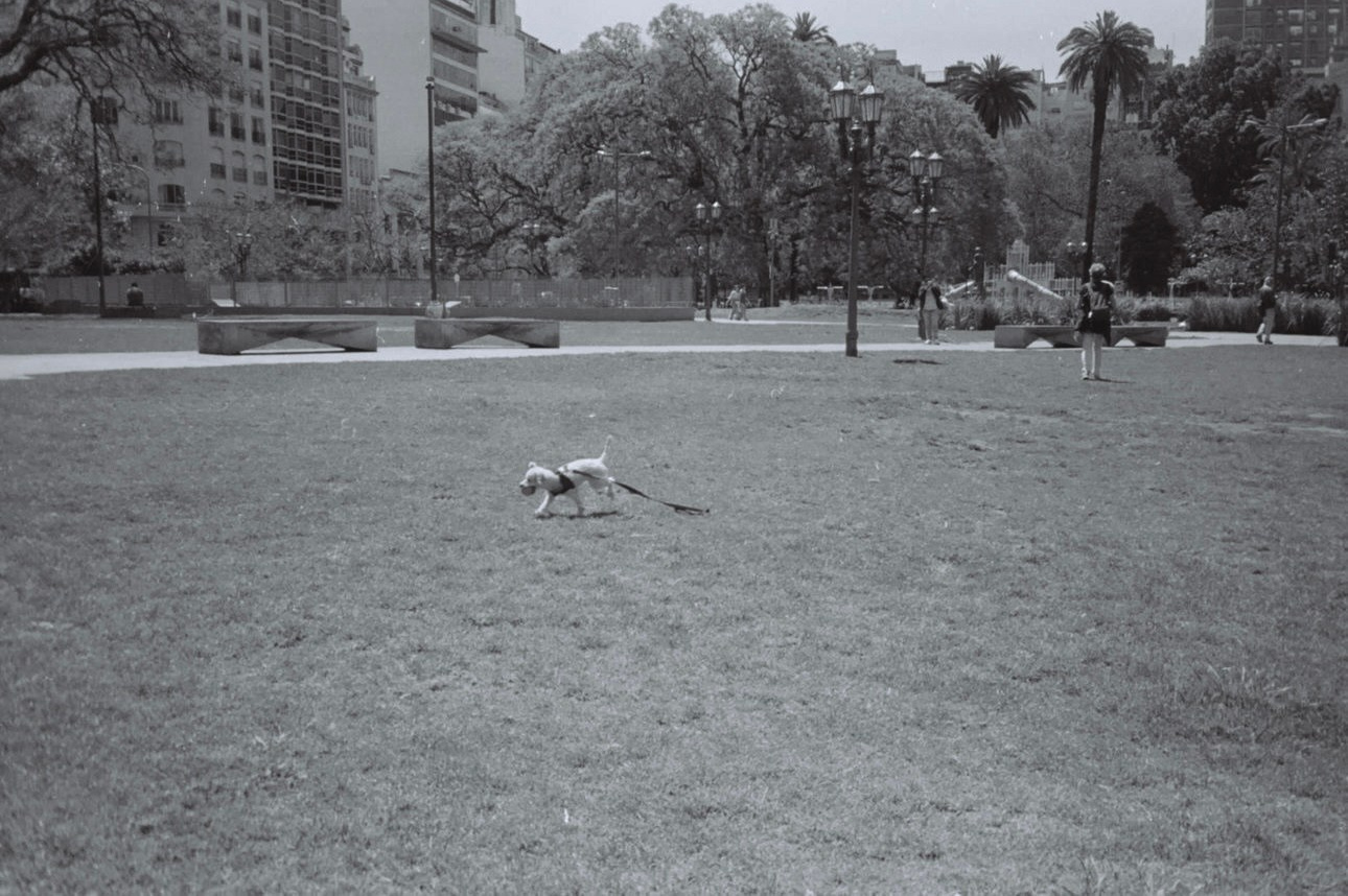 Película. Fotógrafo de retratos en Argentina