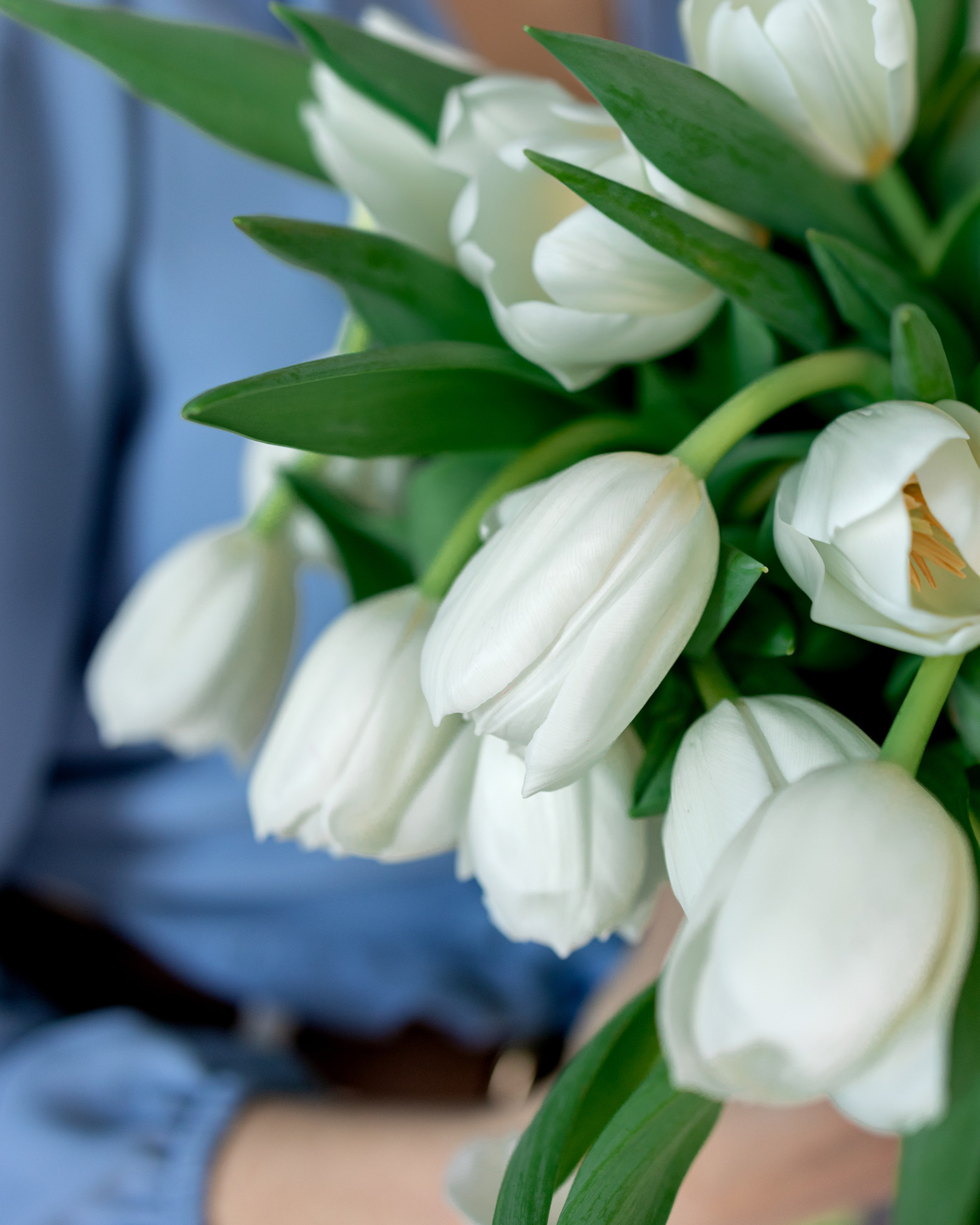 About. Eugenia Guryev Photography | Portrait & Family Photographer in Moncton, New Brunswick