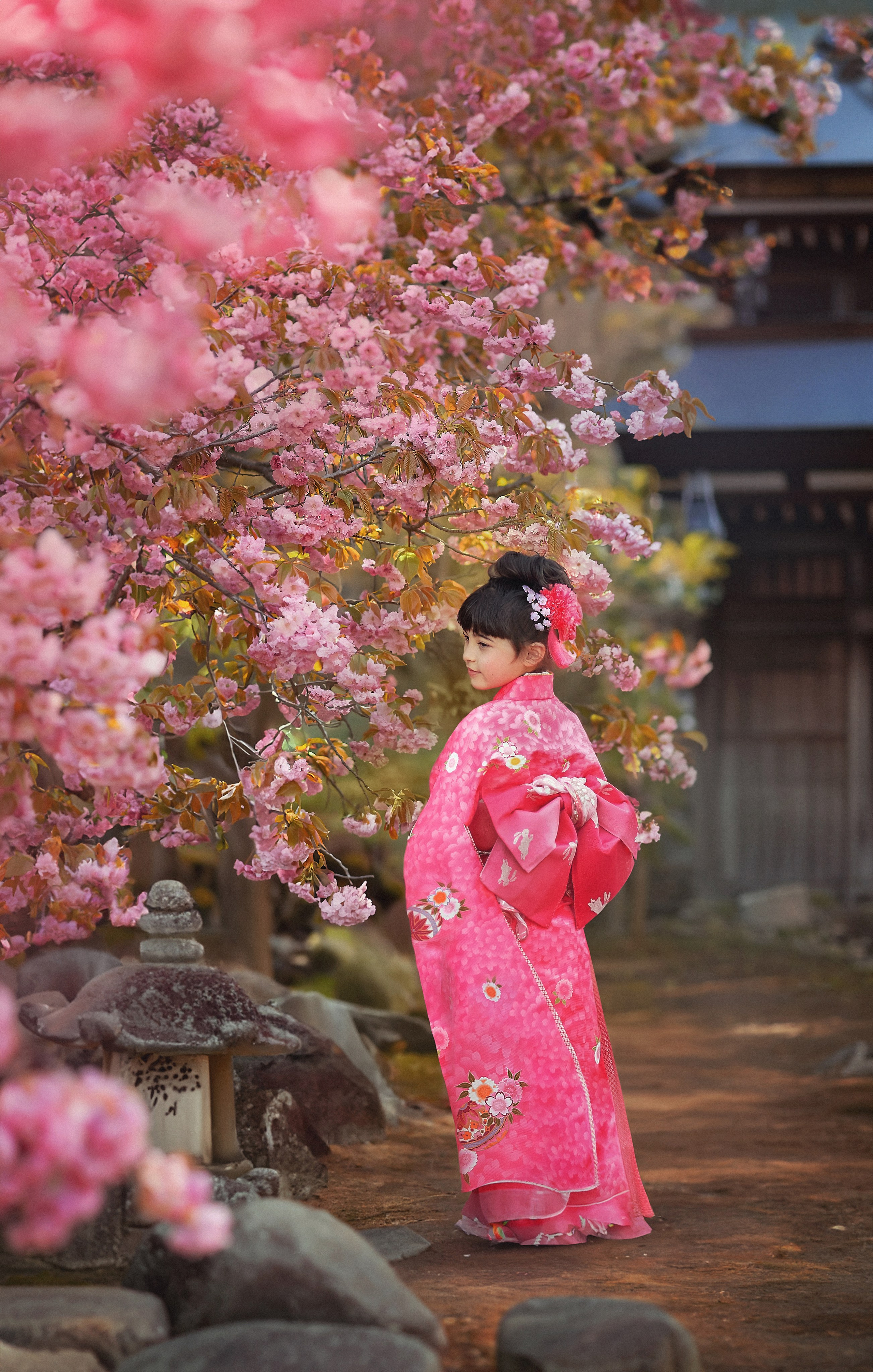Kimono. Photographer in Tokyo, Japan