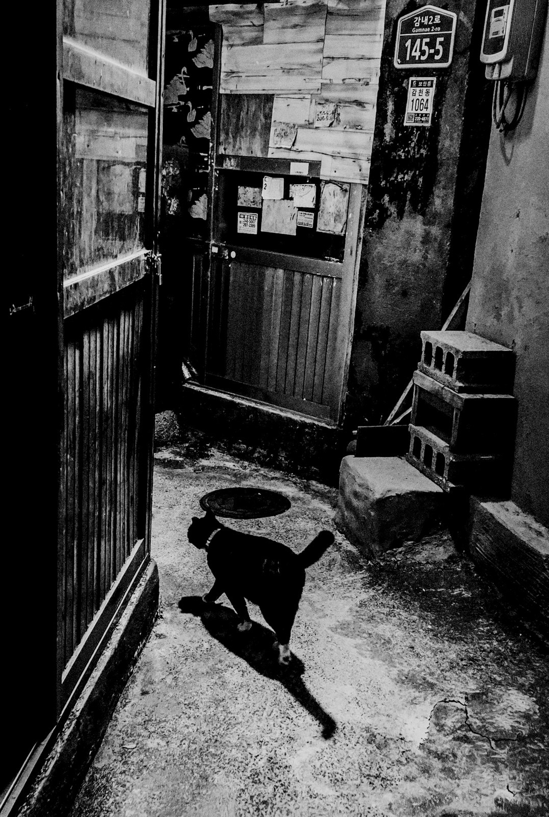 2026 Busan International Photo Festival “Human人” — Taeyoung Kang | SIGANFRAME