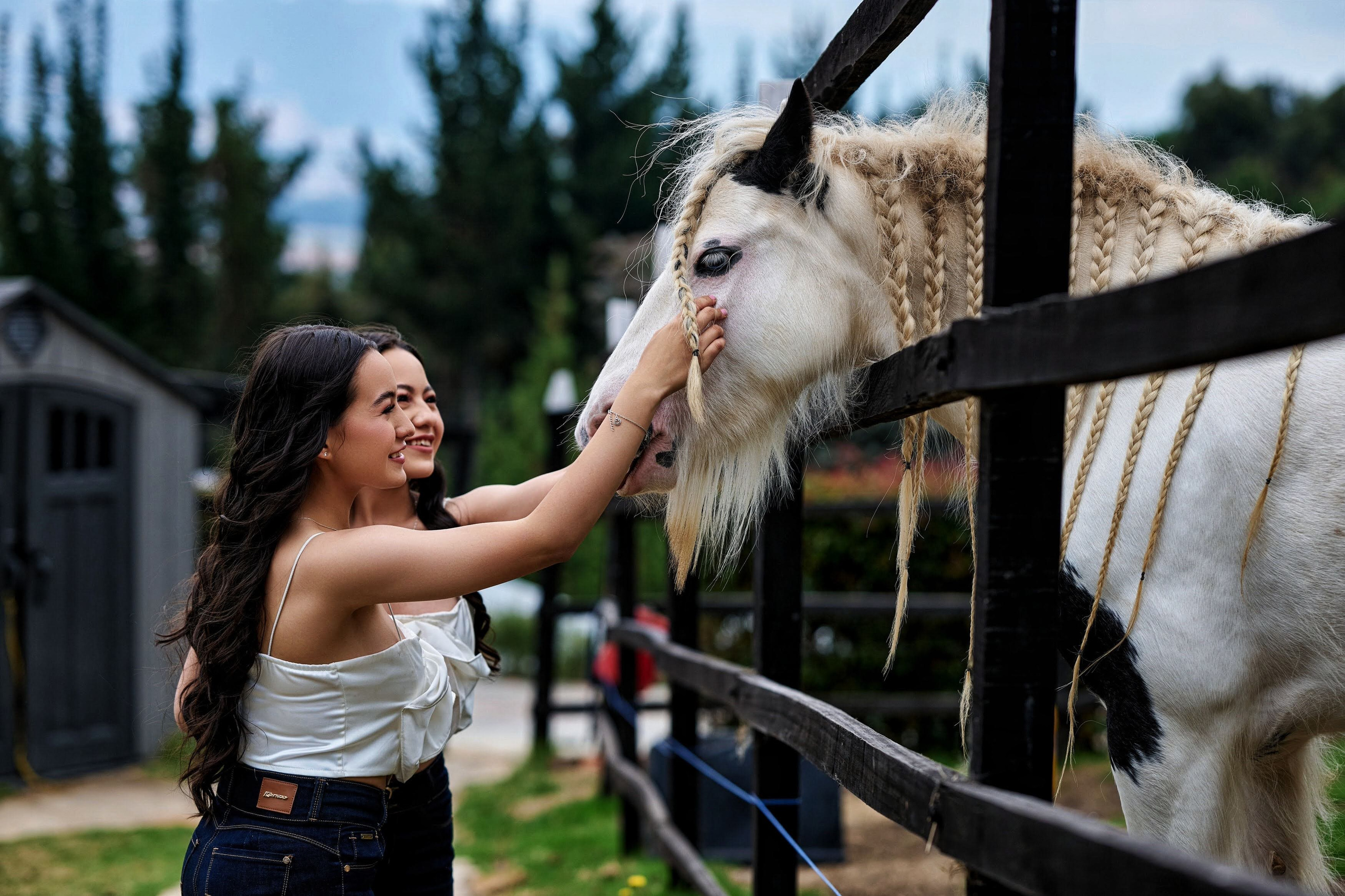Fotos con caballos para Quiceaños. Wedding Photography & Videography by ZZ Hendrick | Capturing Your Love Story in Colombia & USA