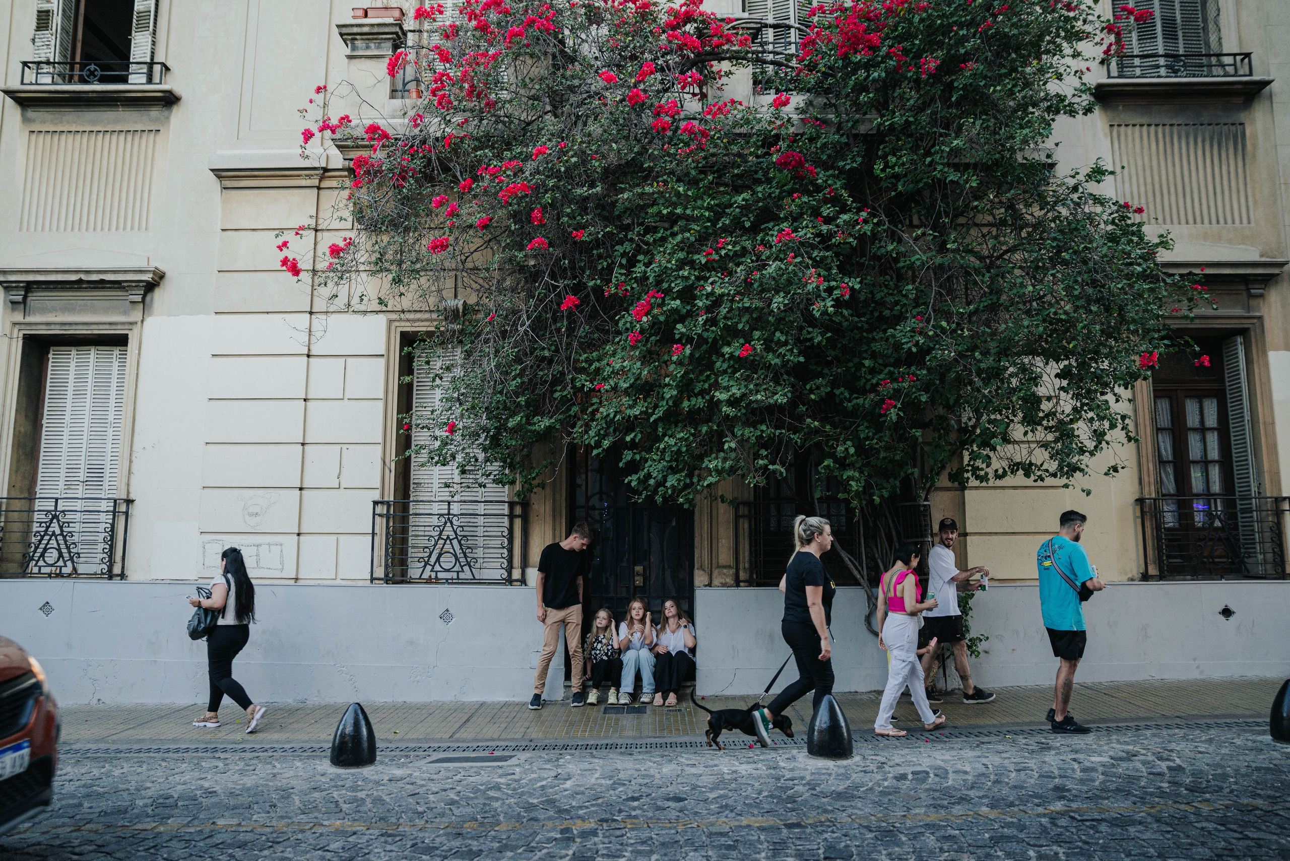 Guests from Mar del Plata. Photographer @elmirkami in the city of Buenos Aires