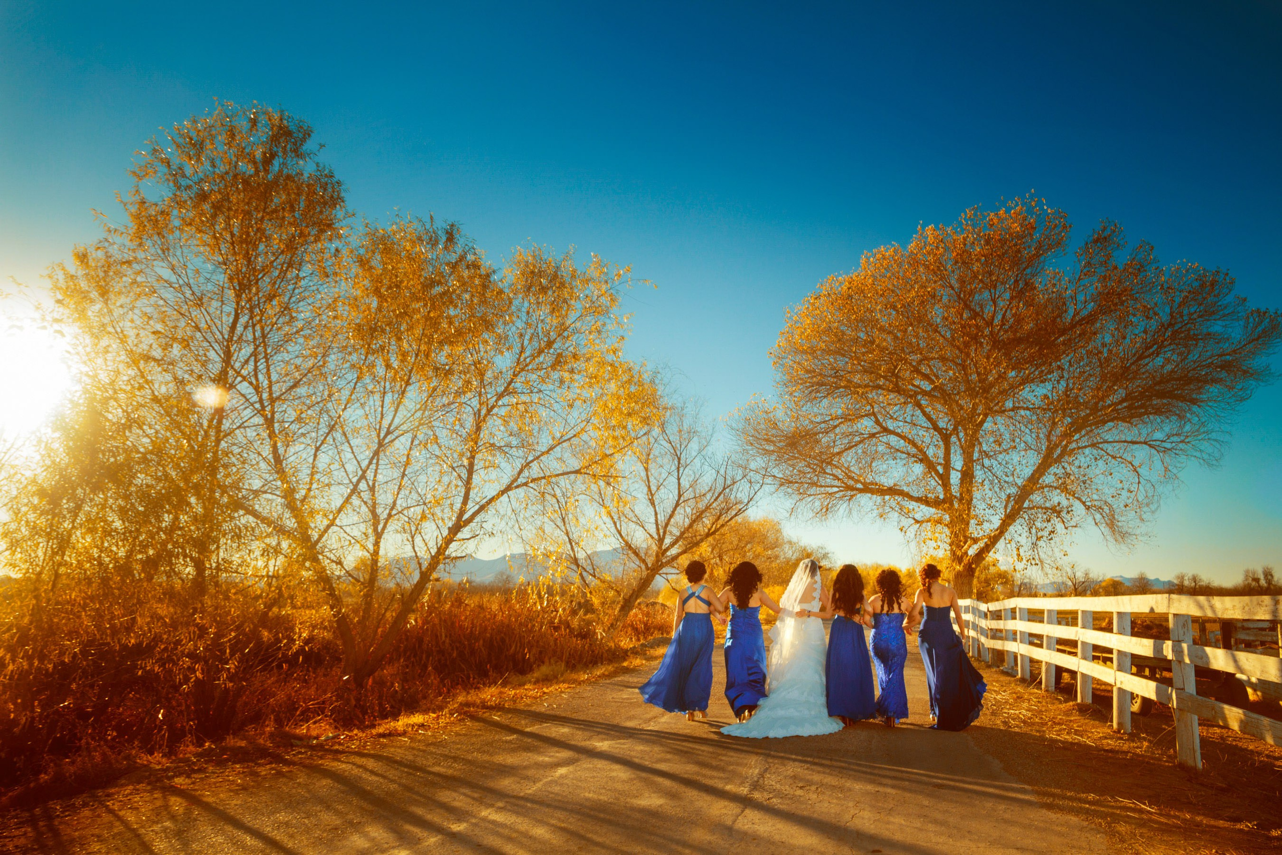 Bodas. Fotógrafo Profesional en Chihuahua, México — Alex Mendoza