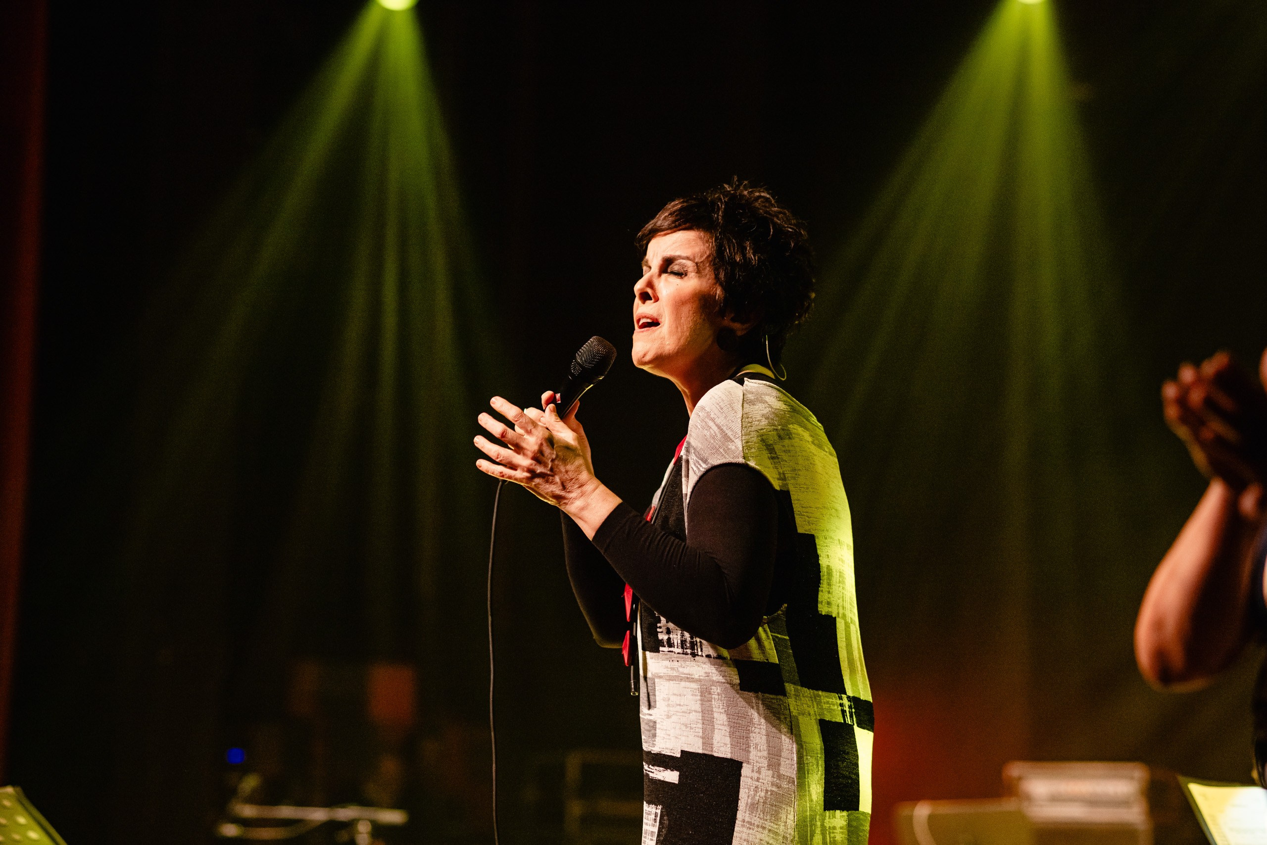 Fotografia de show da cantora Leila Pinheiro no Teatro Municipal de Itajaí