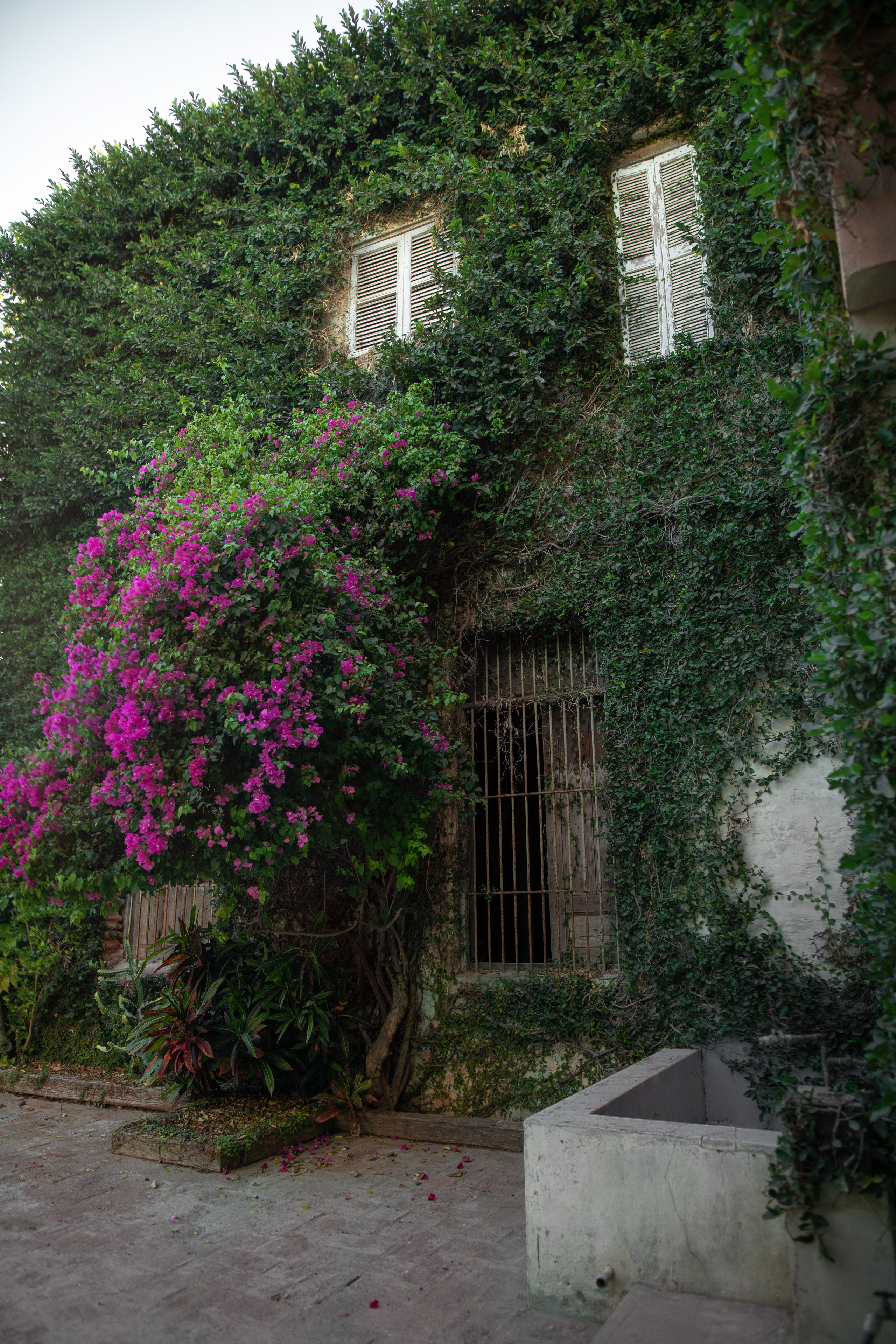 cómo tomar excelentes fotografías de bienes raices