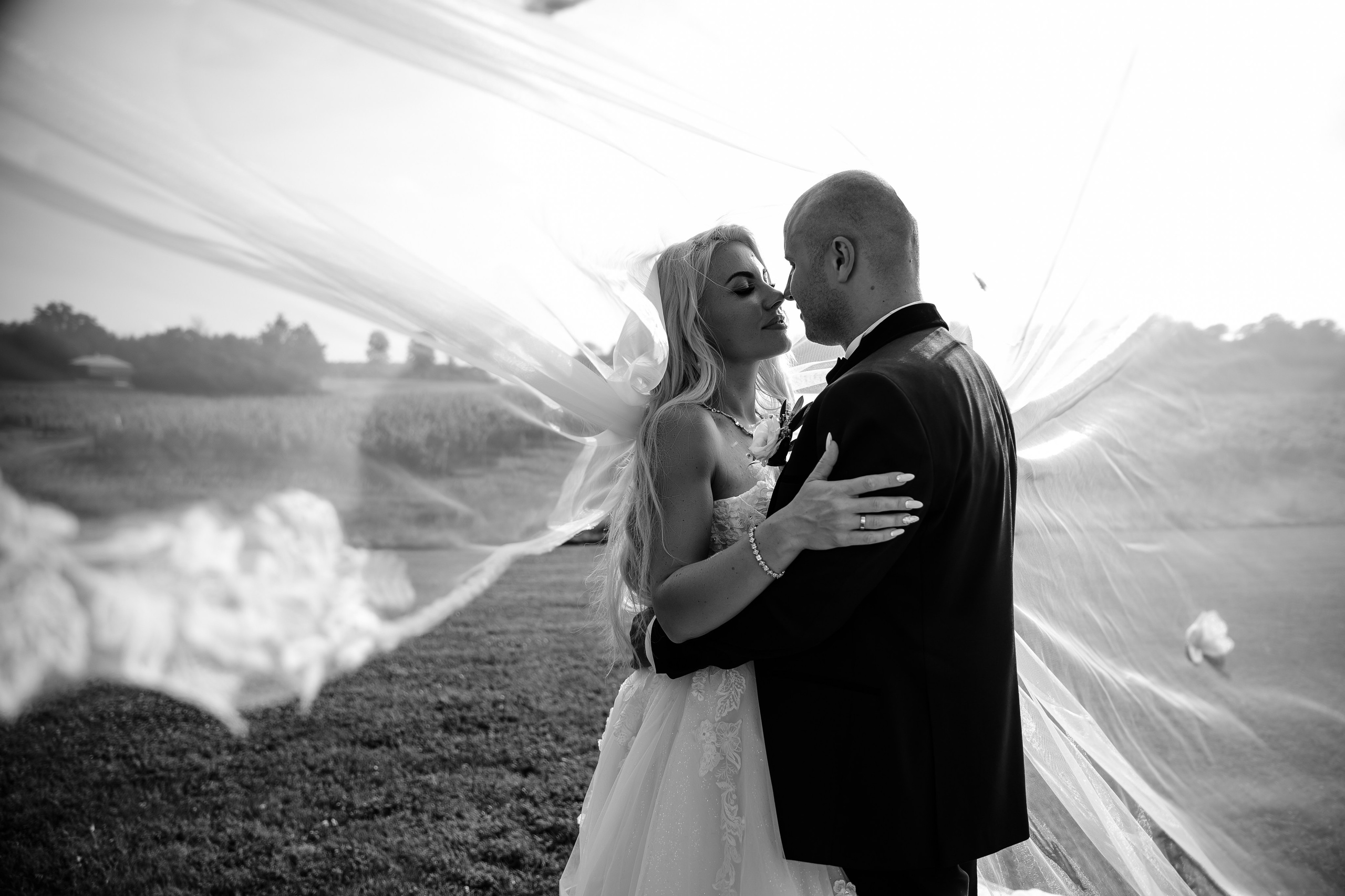 Weddings. Alex UA — Toronto photographer