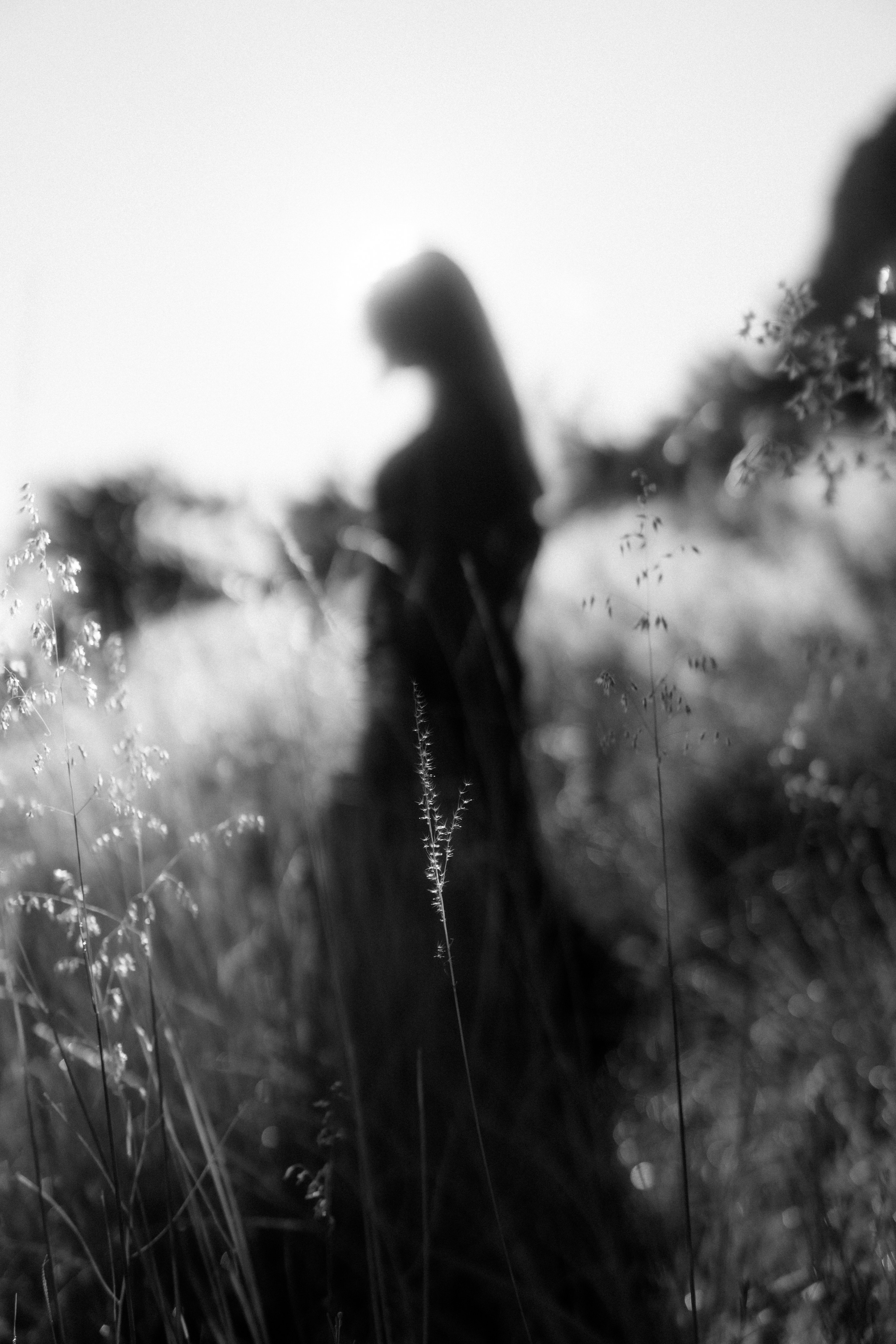 Daniela Cardonne. TWO MILLIMETERS