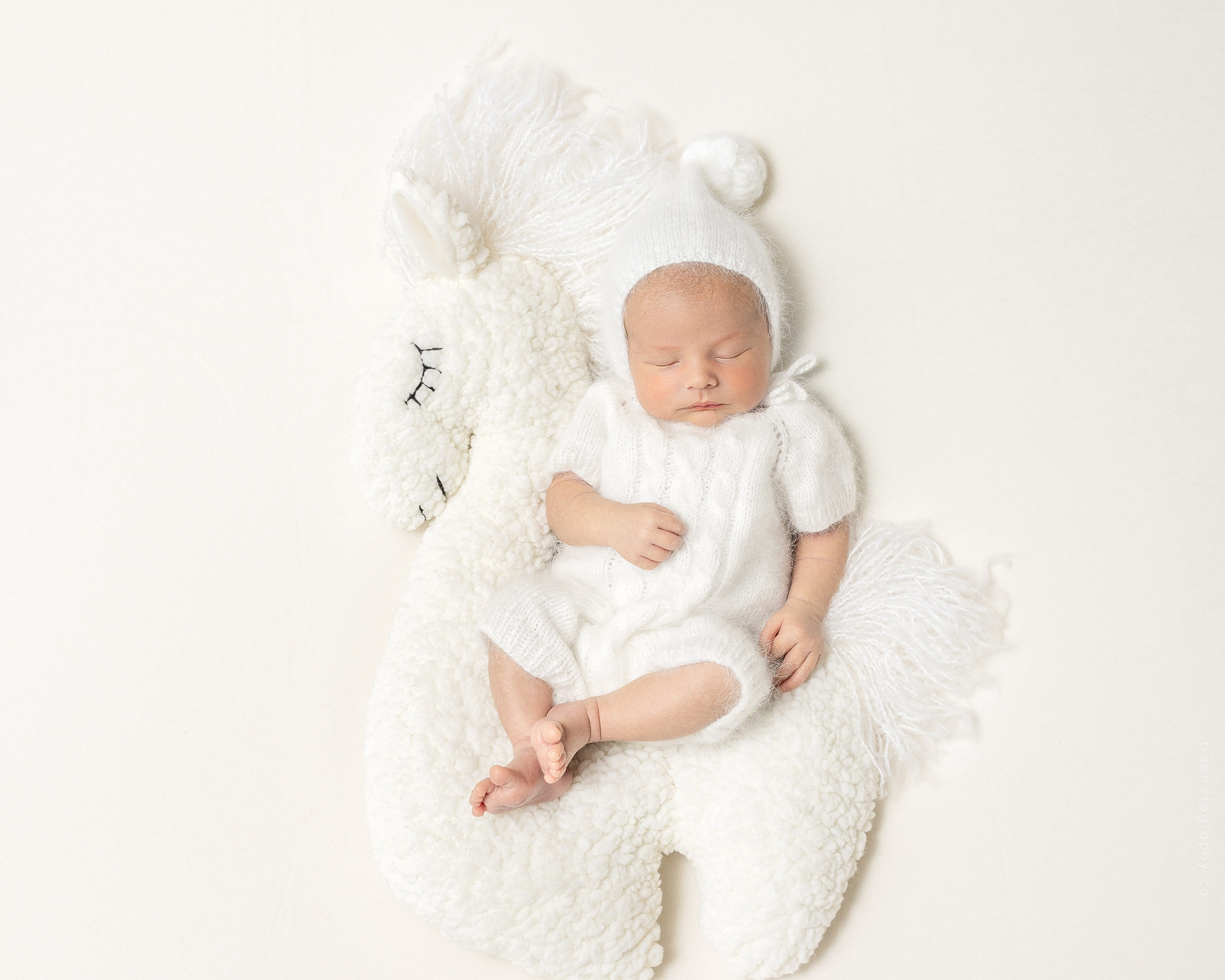 NEWBORN. Je suis photographe portraitiste et je réalise des portraits à toutes les étapes de votre vie! Bienvenue dans mon studio à Westmount, Qc