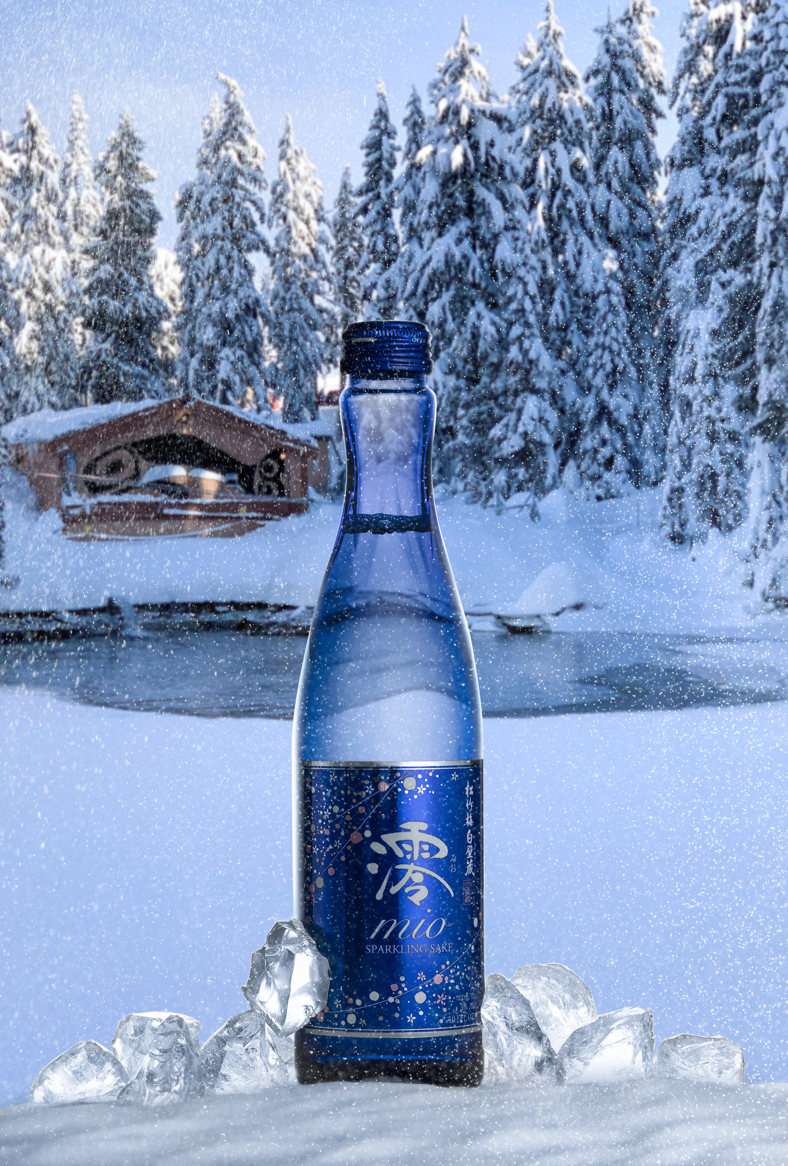 Creative Photography. Laira Studio — creative Portrait and Product Photography in Vancouver