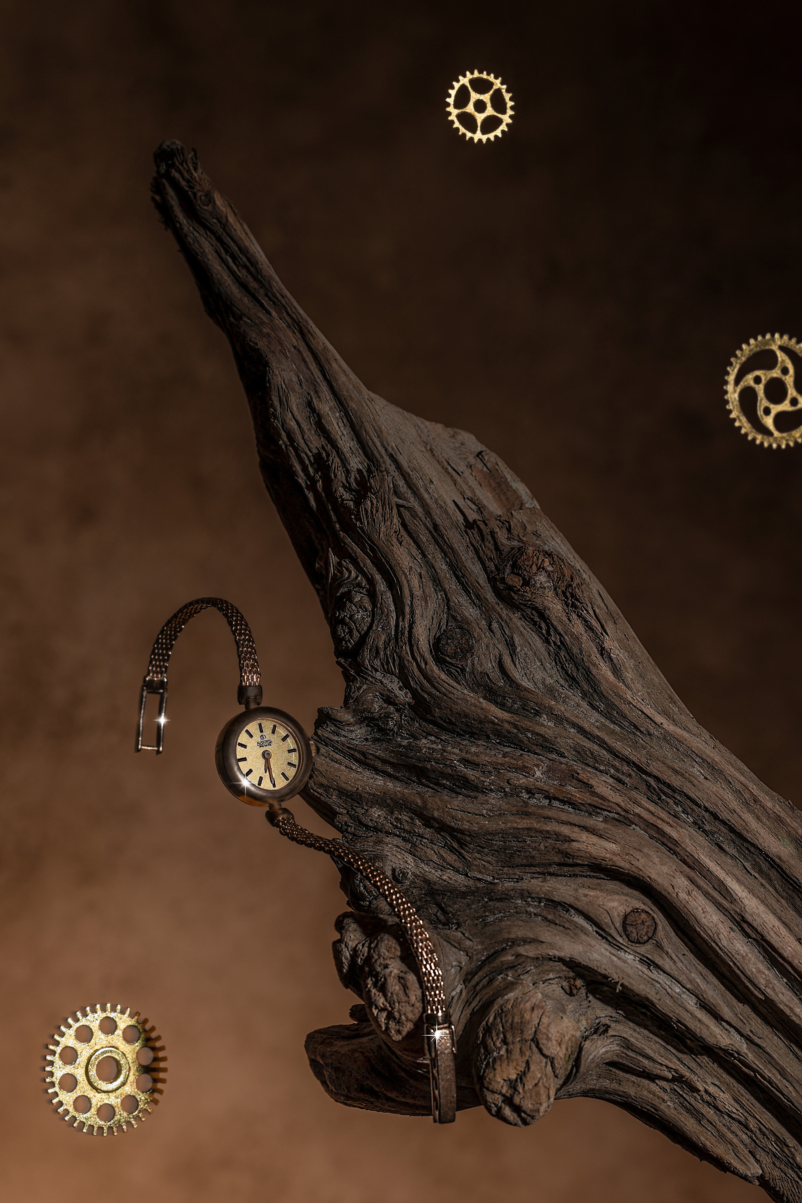 Creative Photography. Laira Studio — creative Portrait and Product Photography in Vancouver