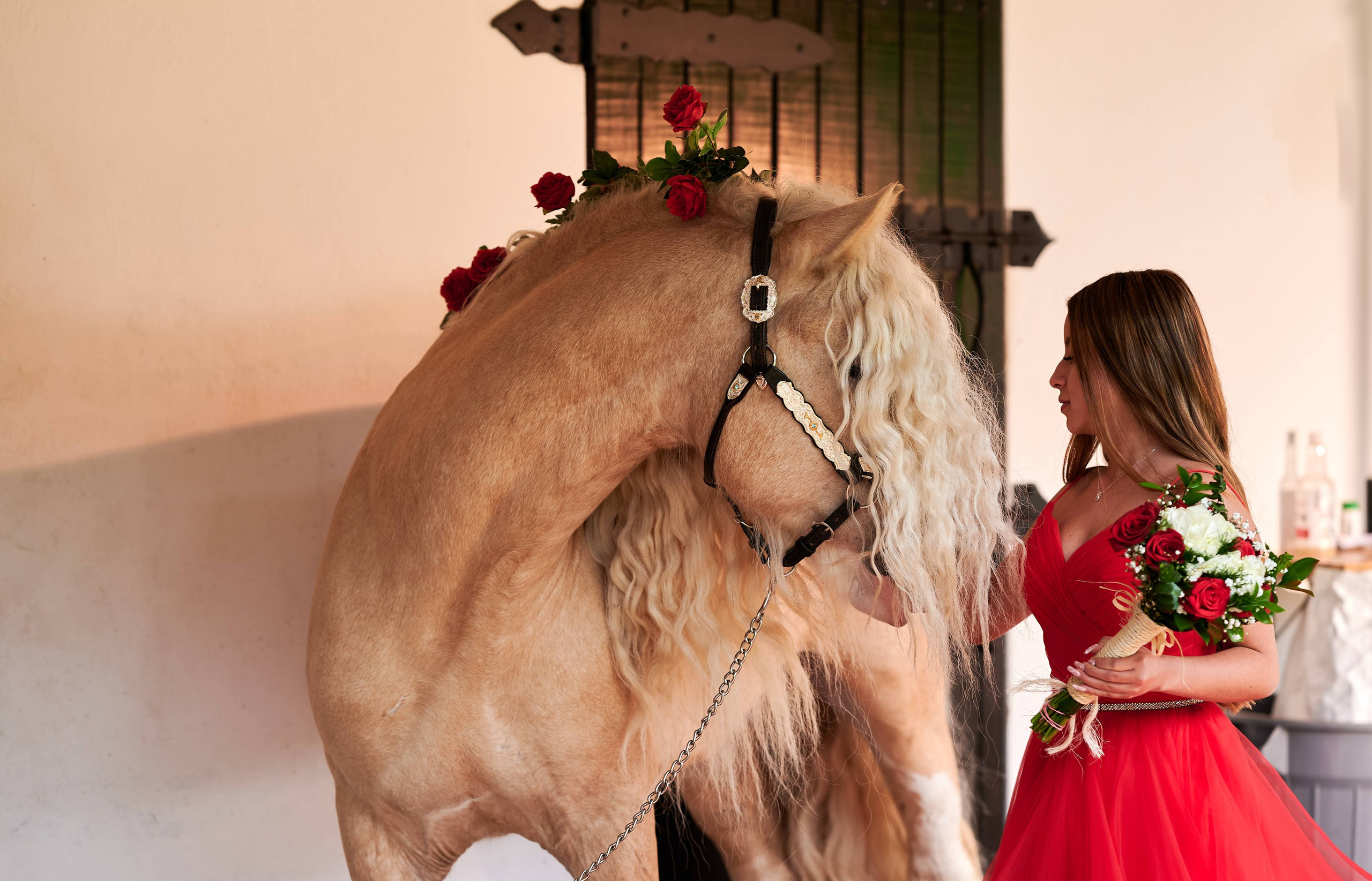 Fotos con caballos para Quiceaños. Wedding Photography & Videography by ZZ Hendrick | Capturing Your Love Story in Colombia & USA