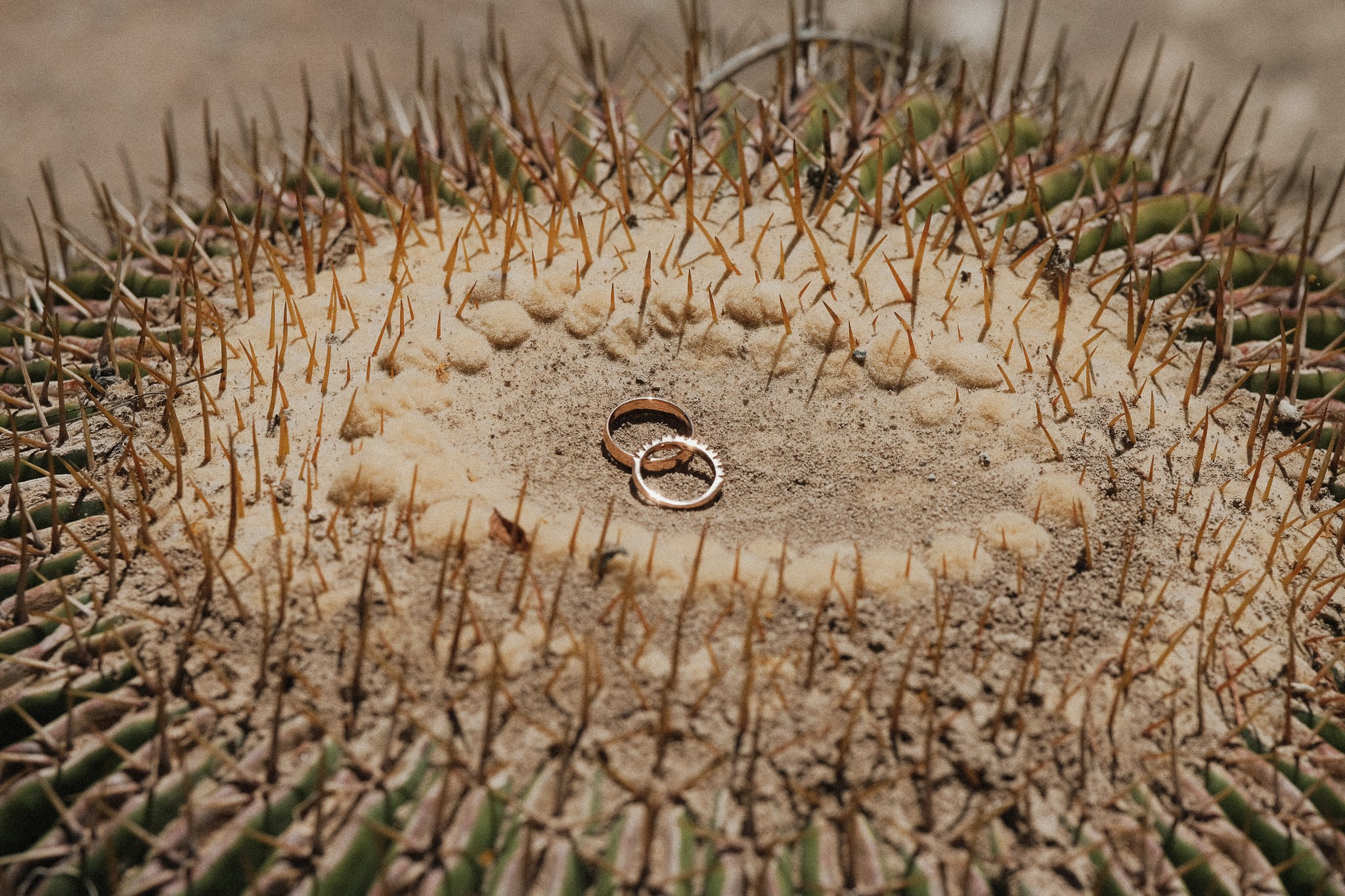 Ann y Carlos: Boda en Armadillo de los Infante. Fotógrafo de bodas