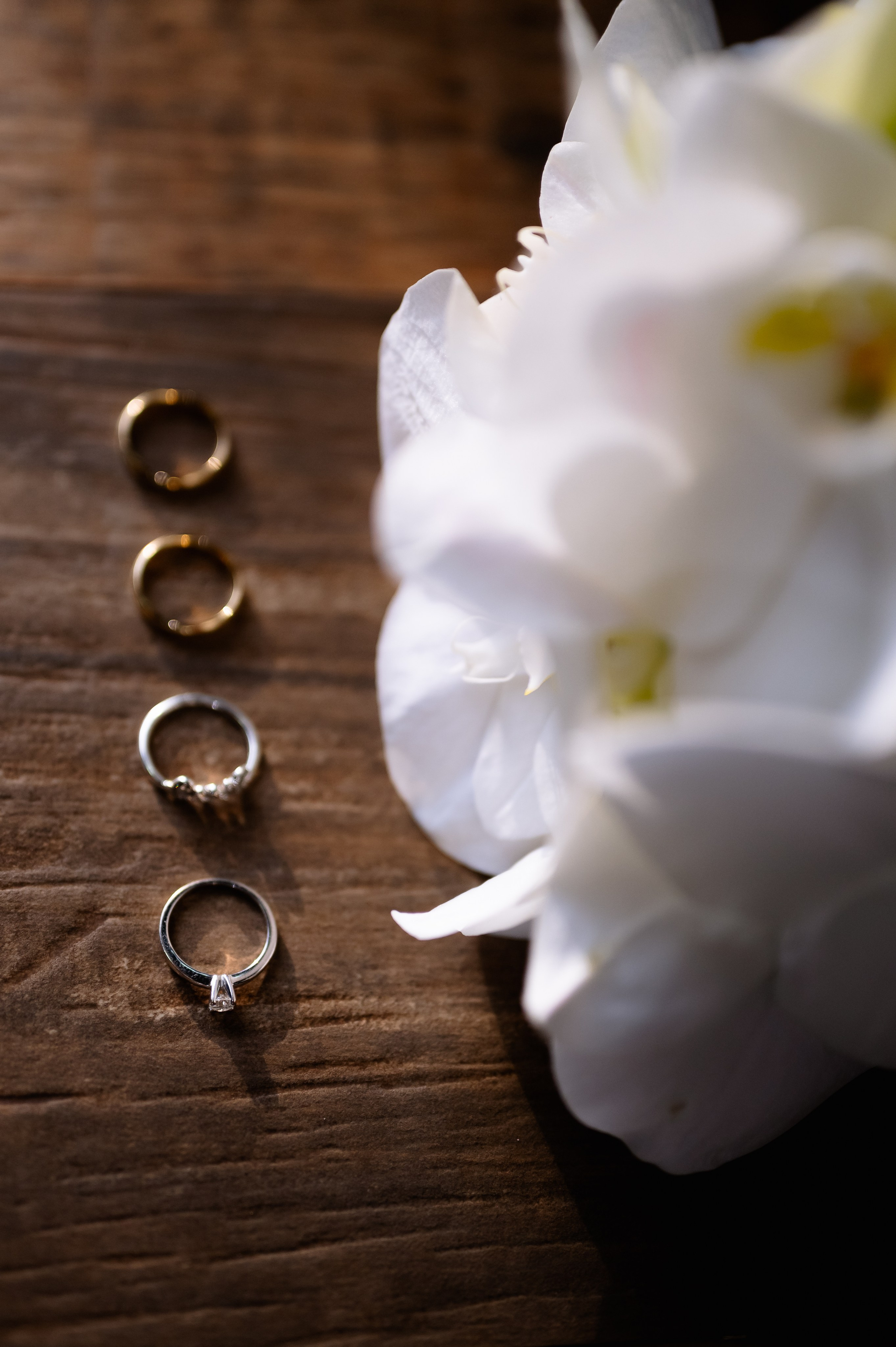Barizon Fotografia | Fotógrafo de Casamentos, Ensaios e Eventos | Cianorte, Paraná