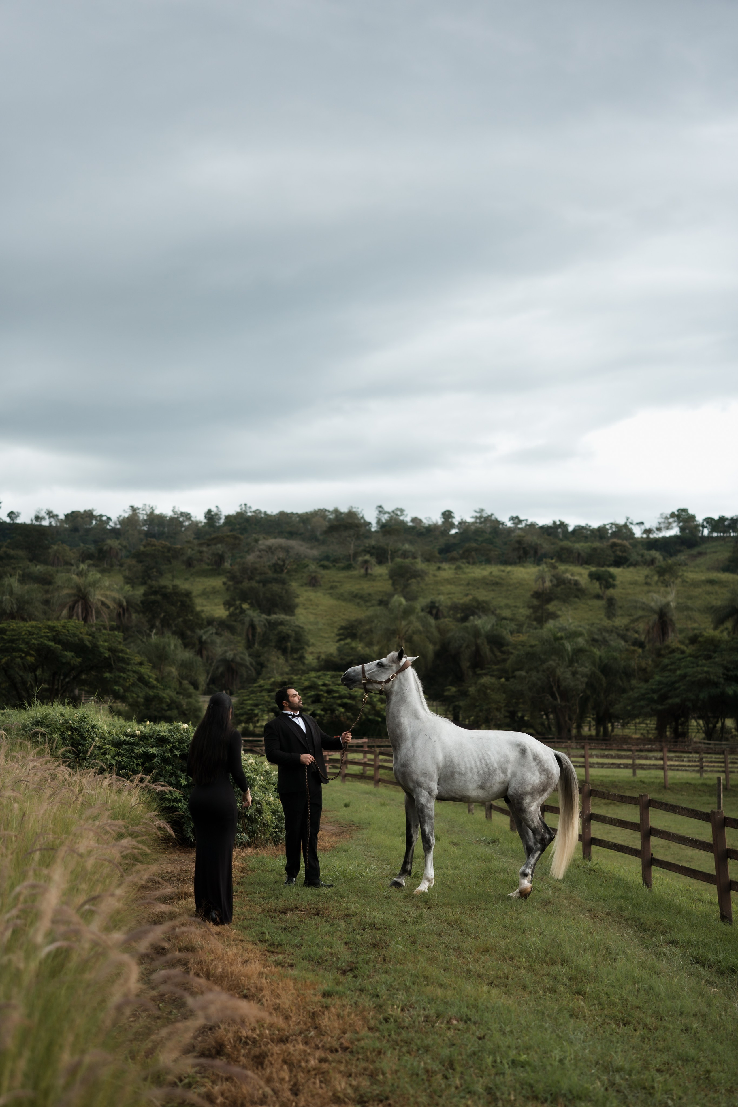 nsaio de noivos com cavalo em campo aberto, com estética fine art e fotografia documental. Referência para casais que procuram ideias para pré-wedding diferente, elegante e conectado à natureza.