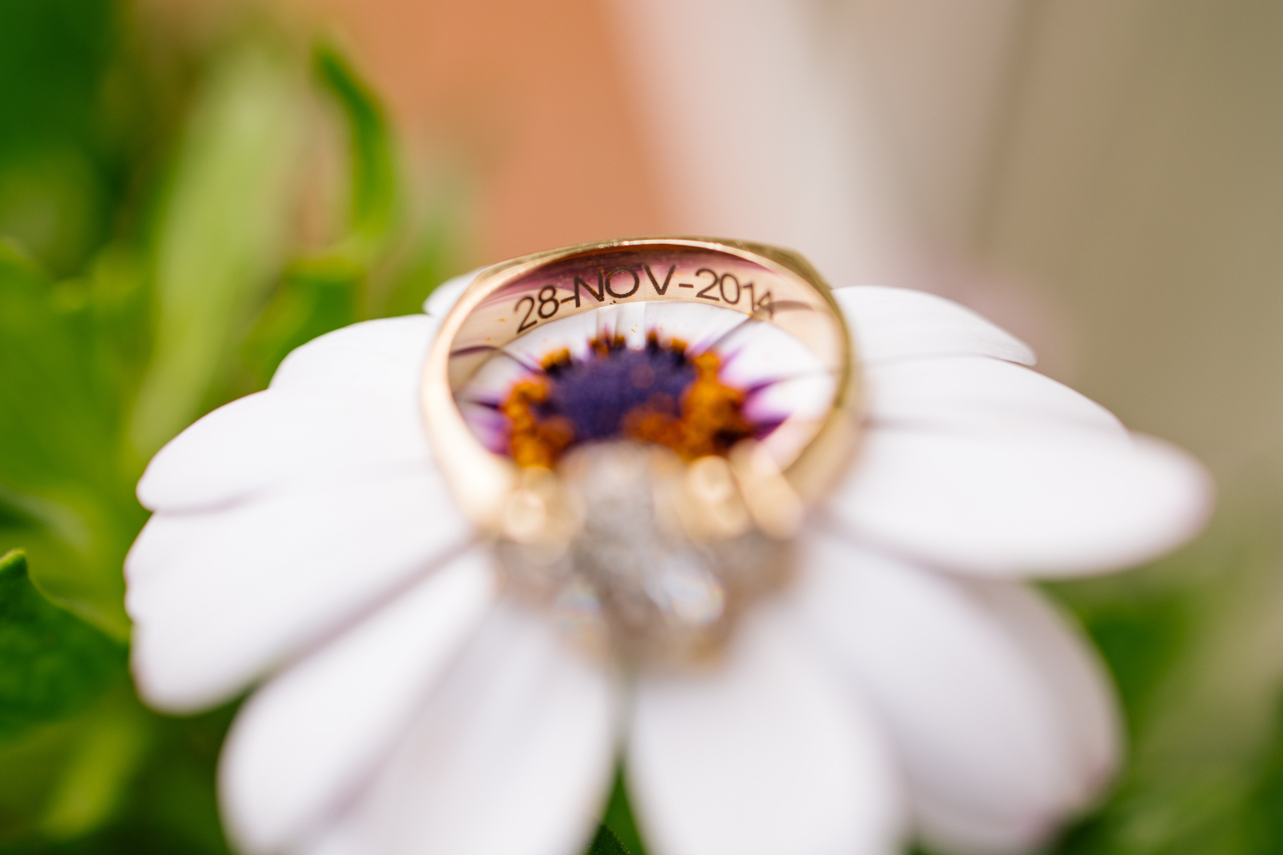 Alejandra y Salvador. Wedding Photographer Ruth Preciado