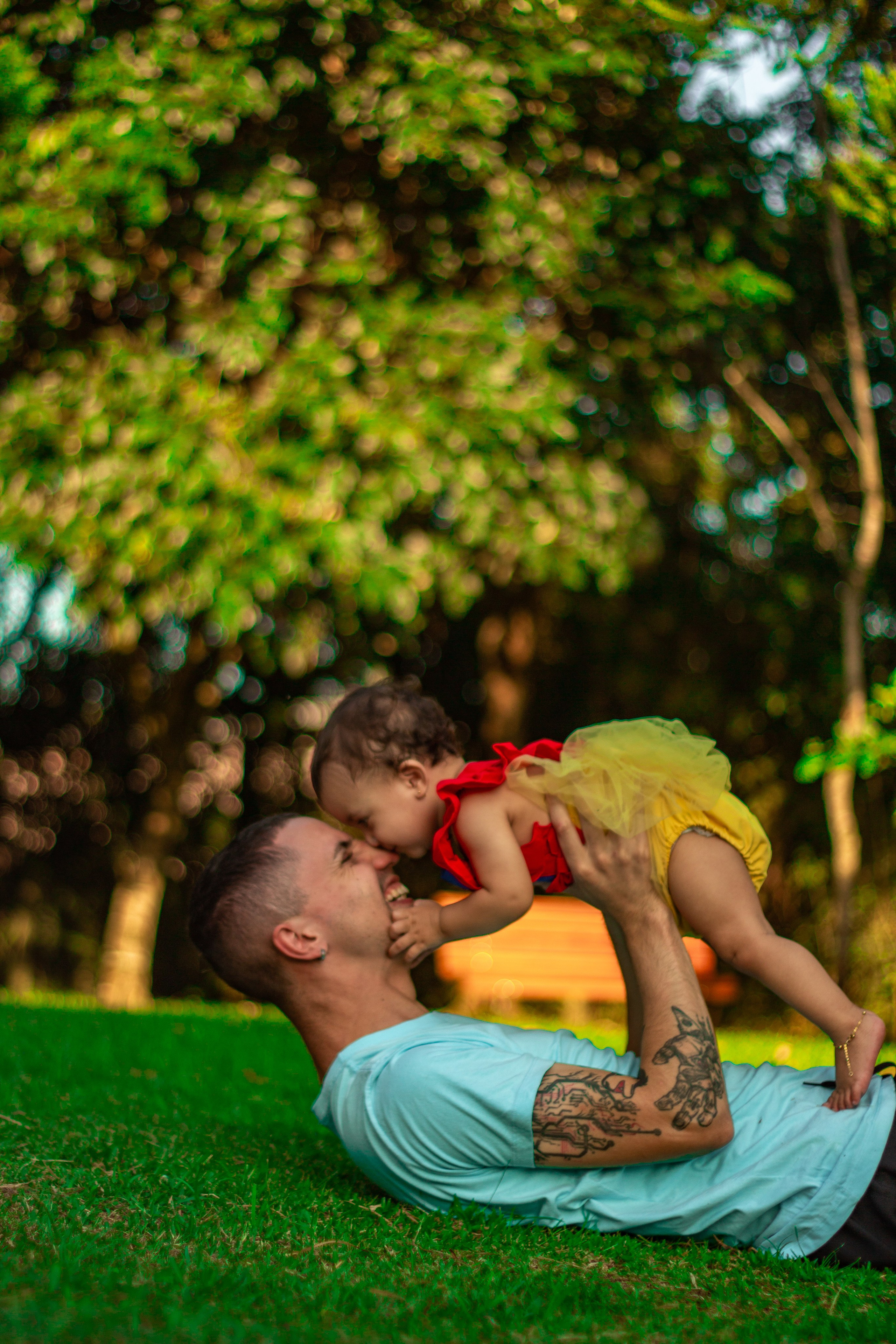 Portfólio Família
