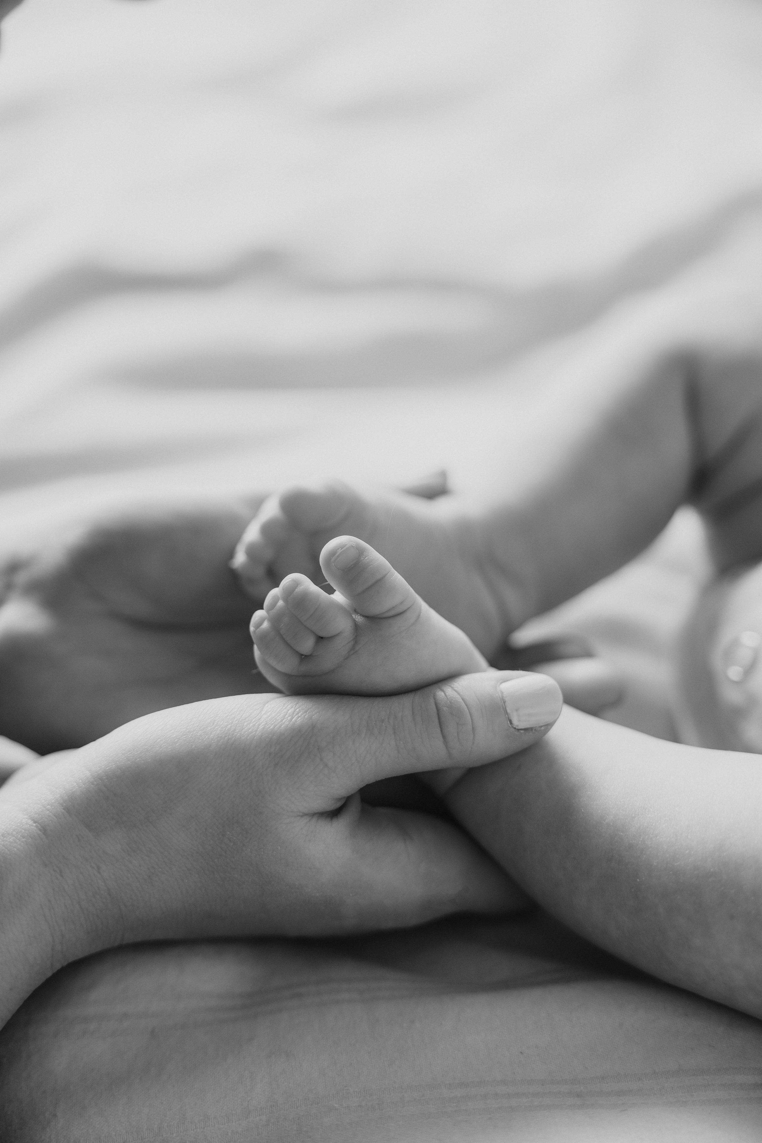 New born. Photographer Elvira Hryshchenko