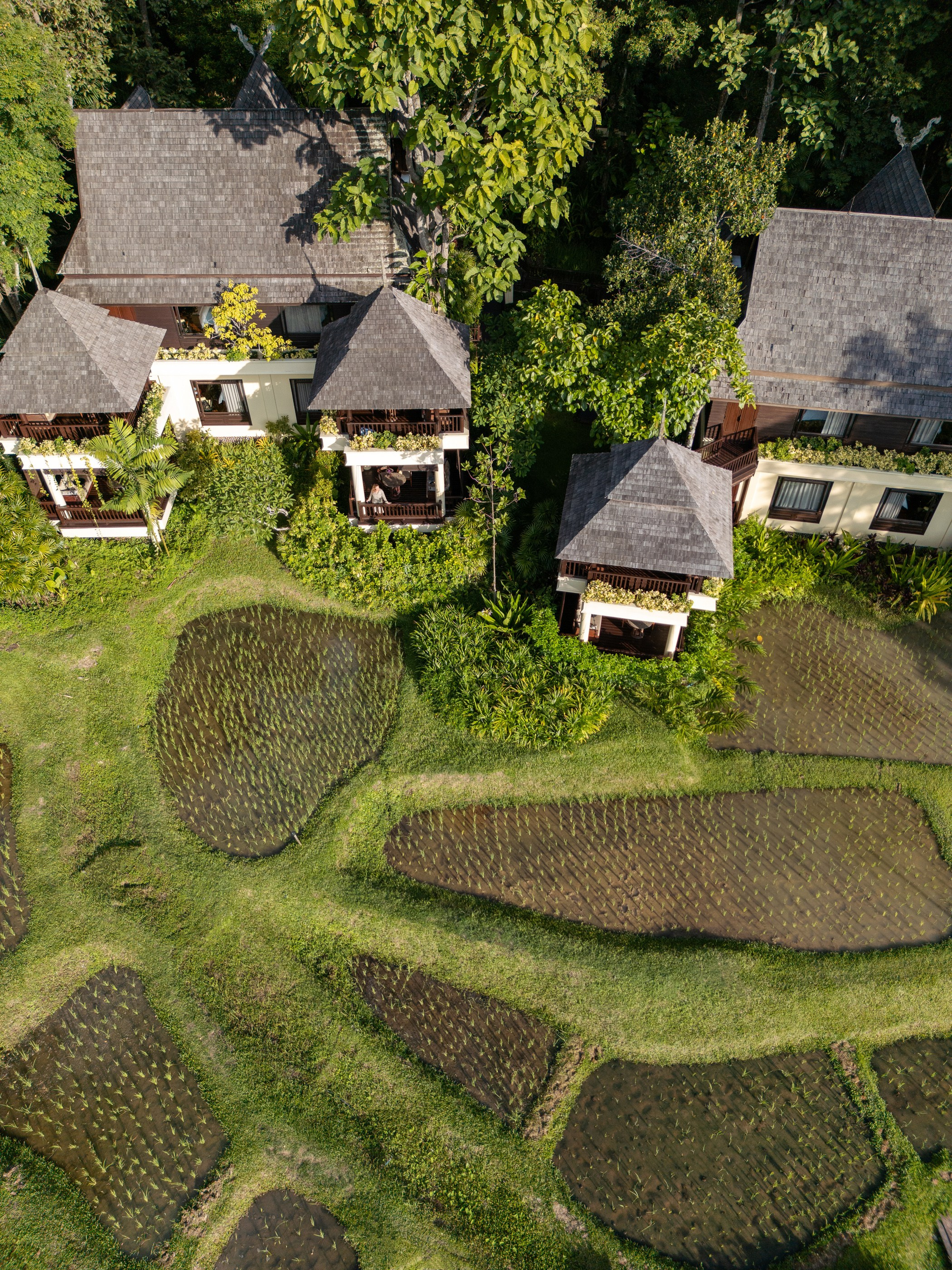 Four Seasons Chiang Mai | Hospitality Lifestyle & Social Media Content