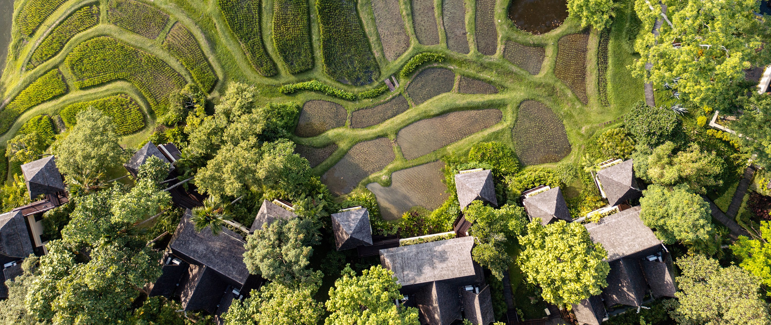 Alesia K. | Luxury Destination Photographer for Hotels, Brands & People in Asia & Worldwide